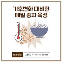22.1분뉴스_양절메밀 1.jpg