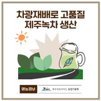 26.1분뉴스_녹차차광재배 1.jpg