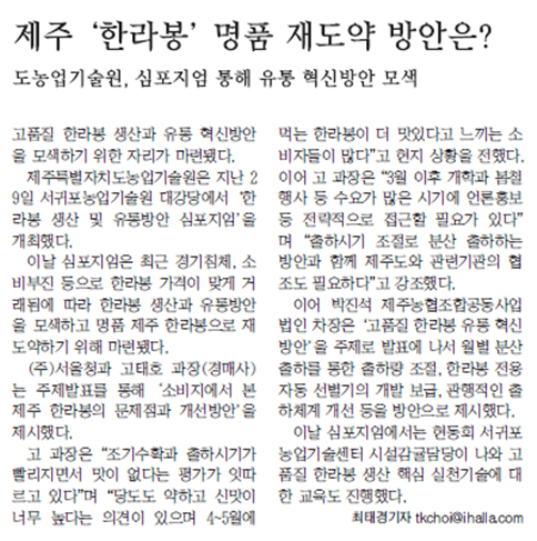 제주‘한라봉’명품 재도약 방안은? [한라일보-2015.6.1.]