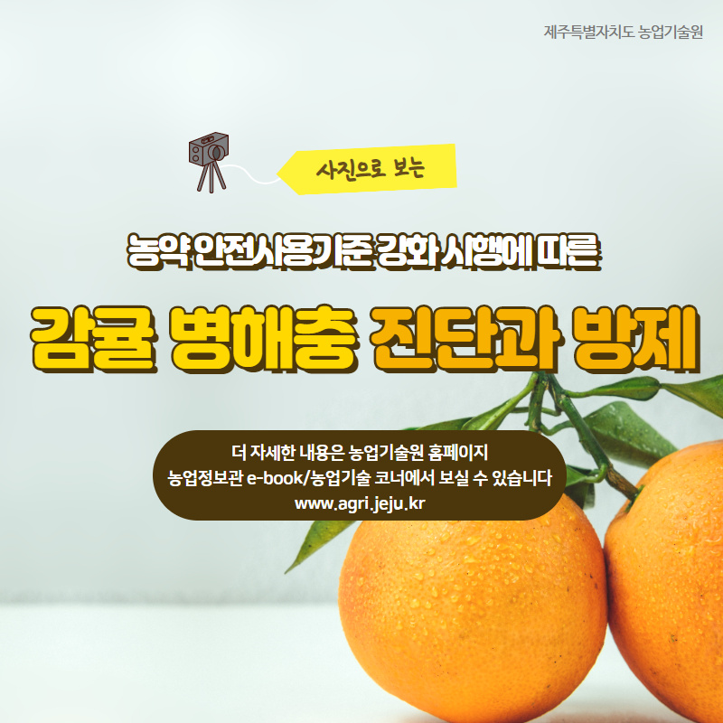 감귤병해충 진단과 방제