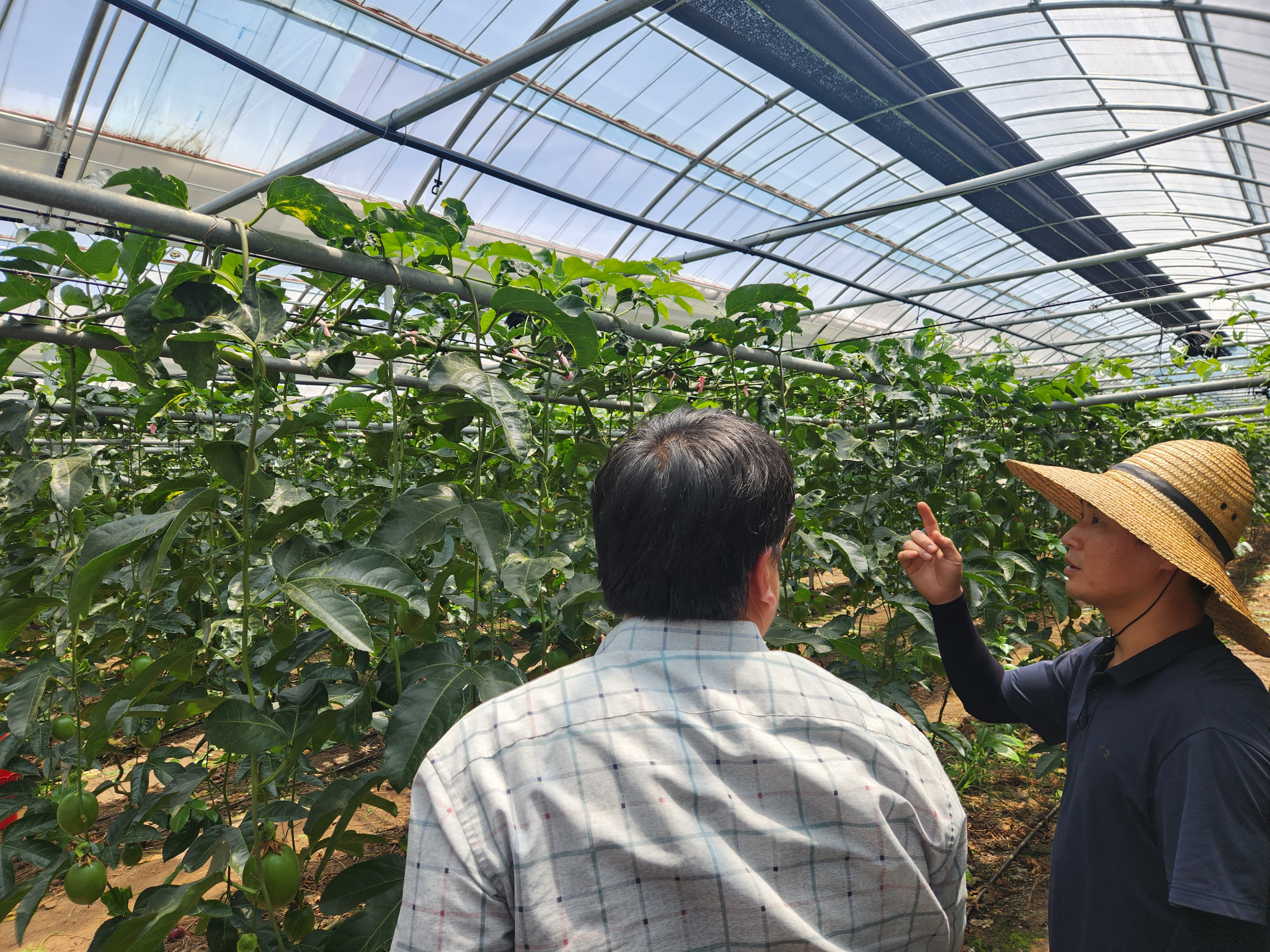 민관 협력 체계 구축…새소득작목 단지 안정 정착 지원