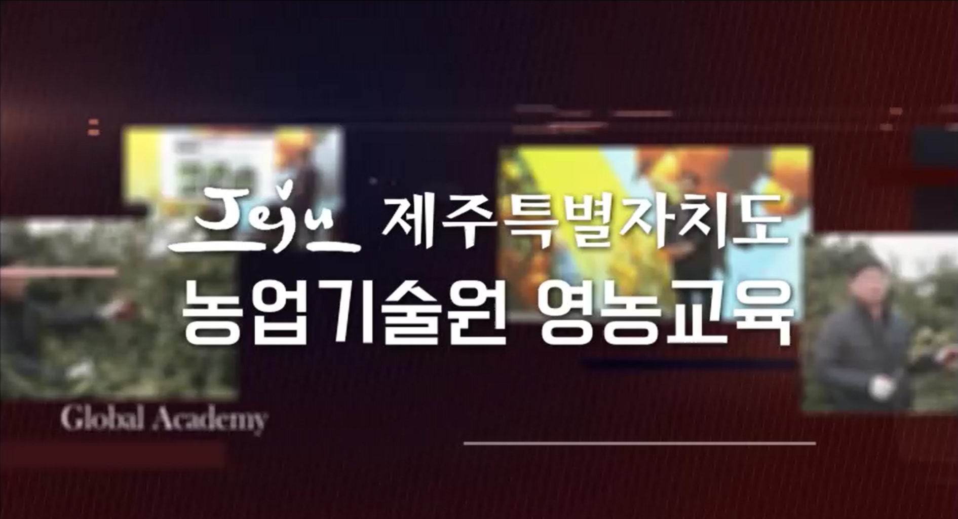 노지감귤 재배기술교육(9~10월)