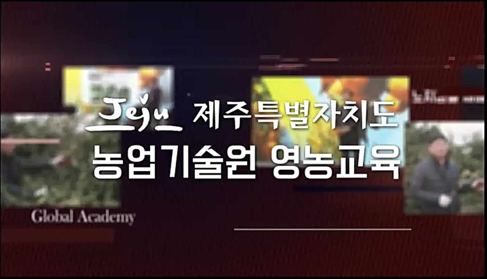 제주특별자치도 농업기술원 영농교육(만감류재배기술교육 2편)