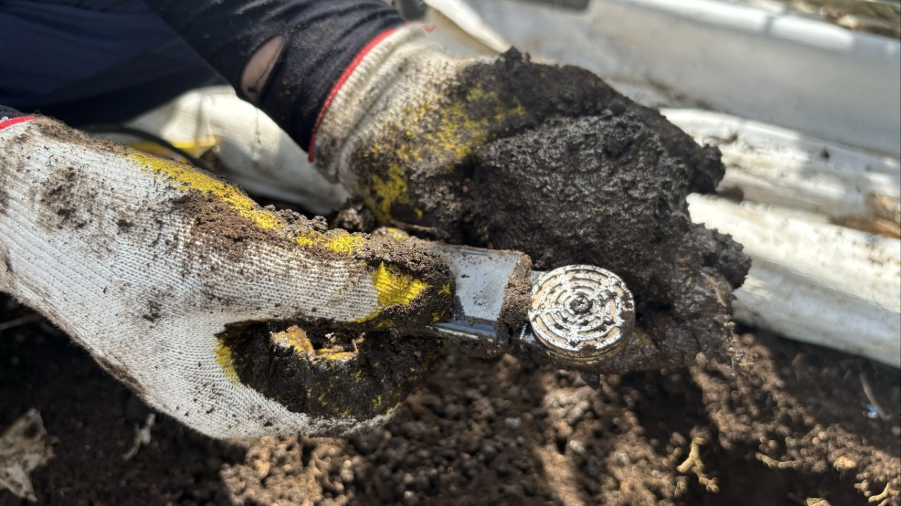 노지 감귤원, 스마트 자동관수 기술 개발로 품질 높인다