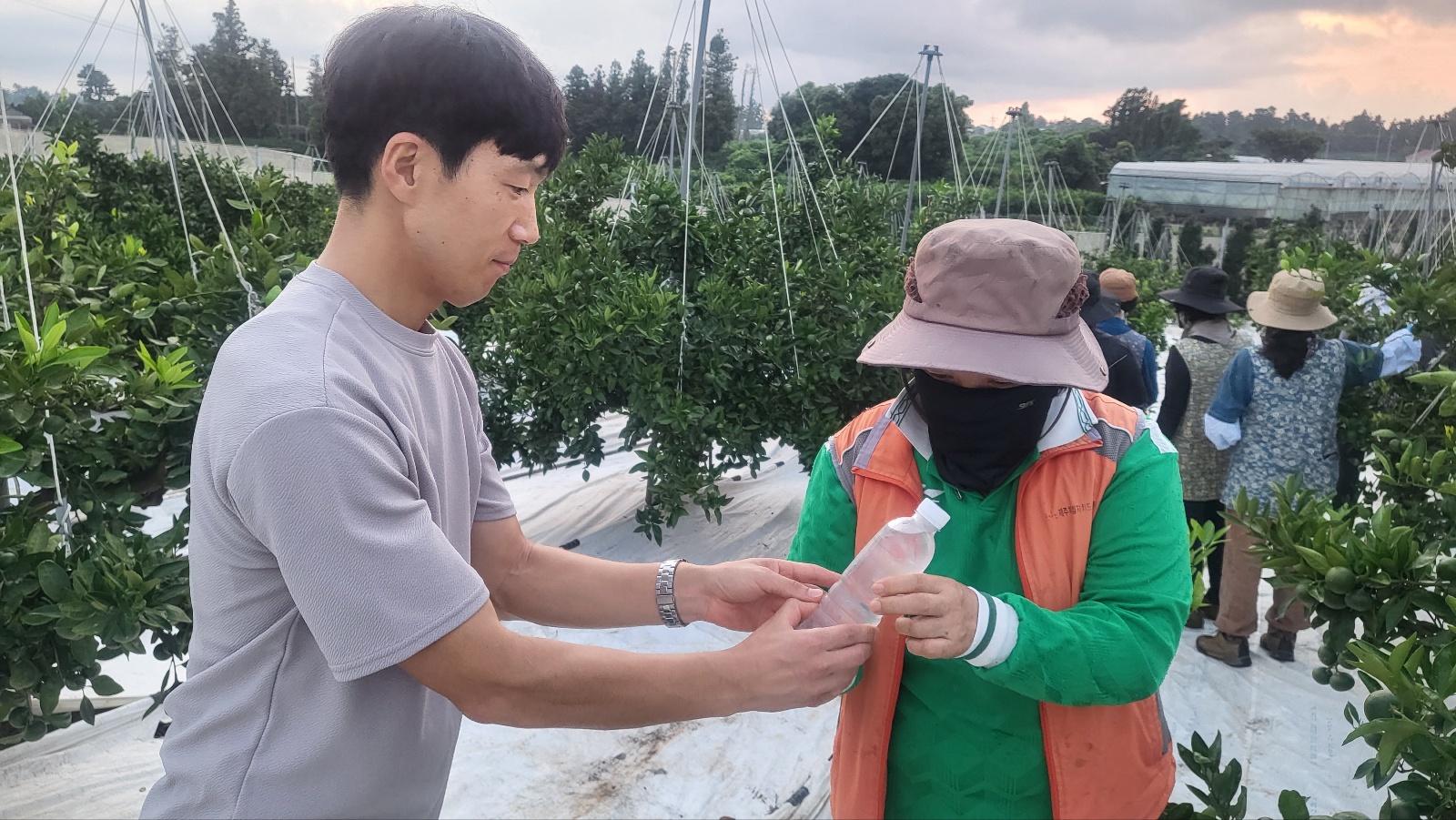 농업기술원, 폭염·온열질환 피해 최소화 위해 현장 지원 나서