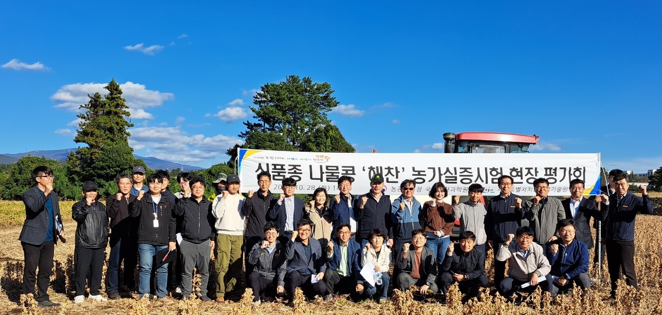 신품종 나물콩 ‘해찬’, 빠른 성숙기와 기계수확 적합성 입증