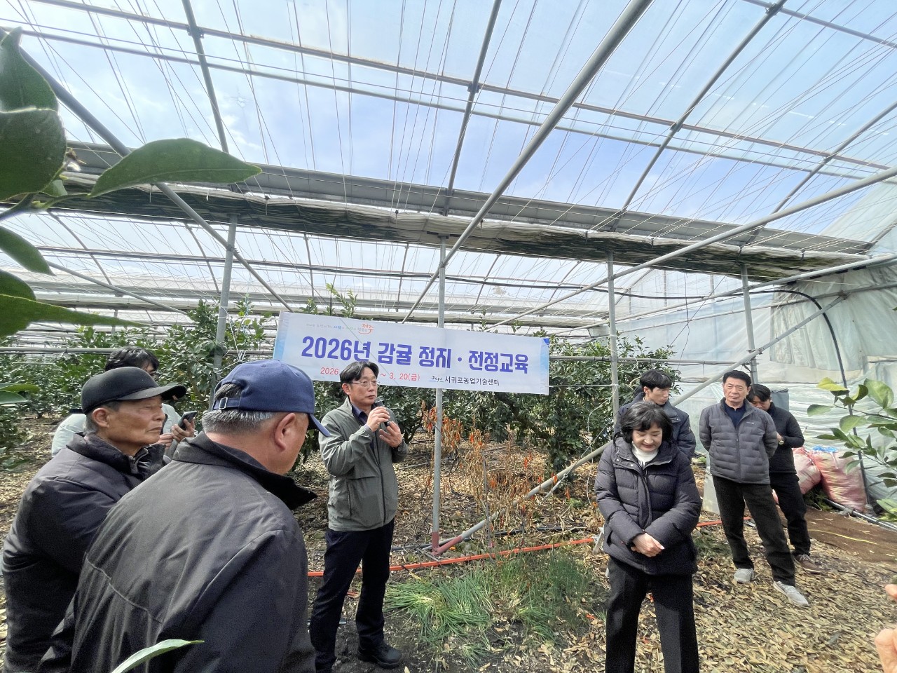 2026년 만감류 정지전정 교육(위미농협) 