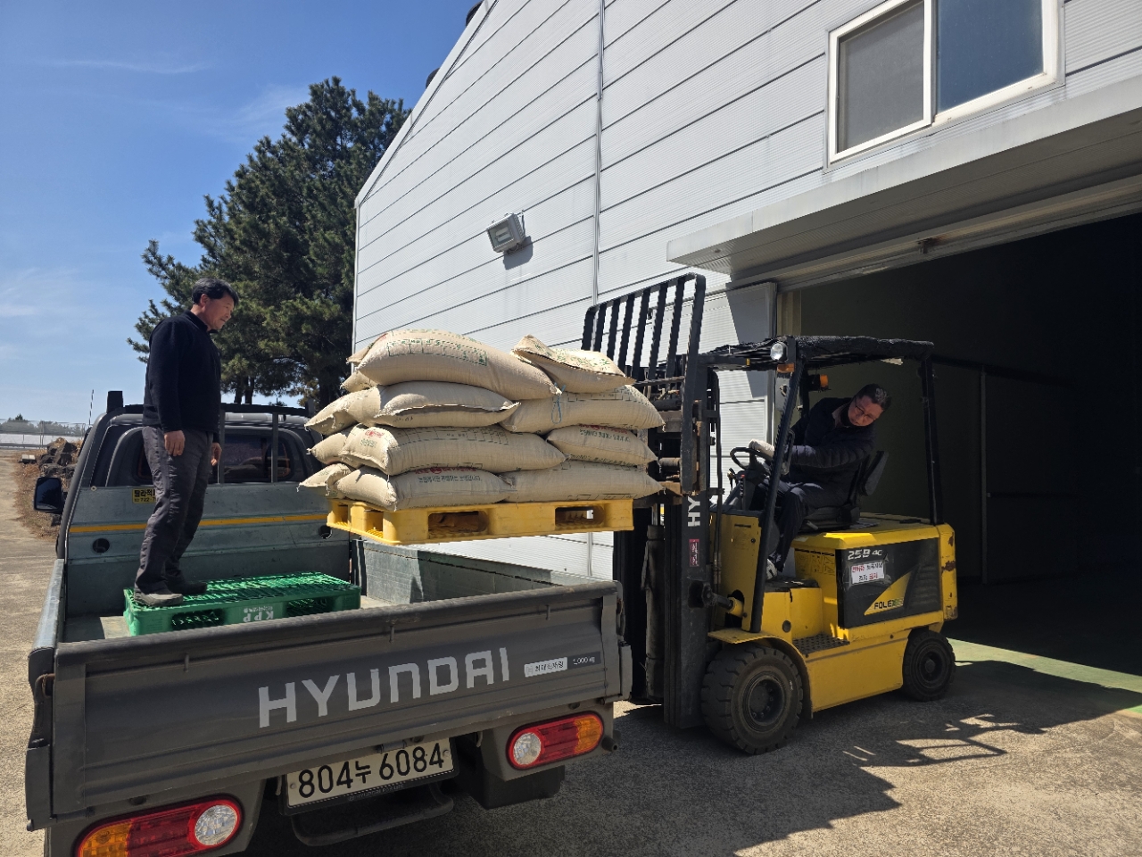 ‘양절’ 메밀 보급 본격화…원종 종자 3톤 공급 완료