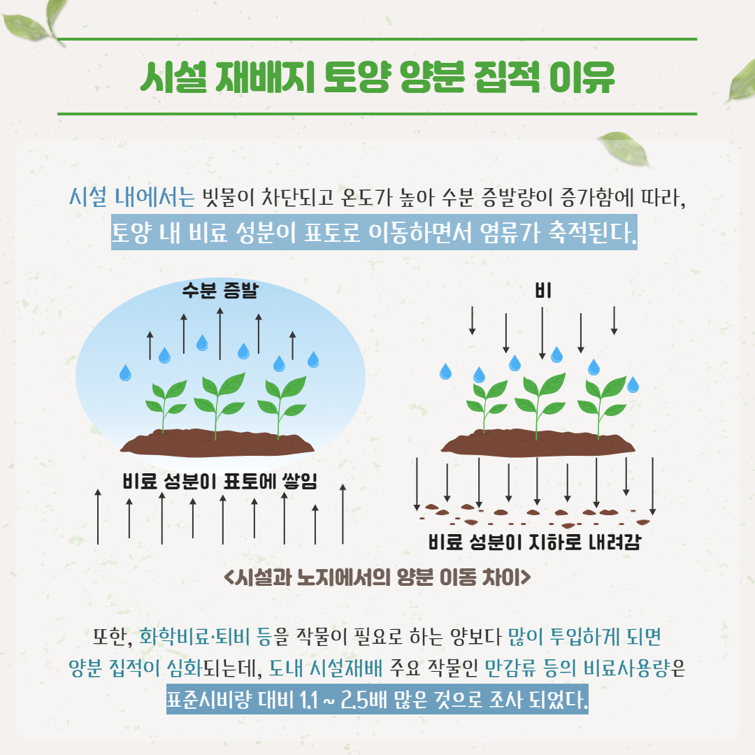 시설 재배지 염류집적 문제와 예방방법