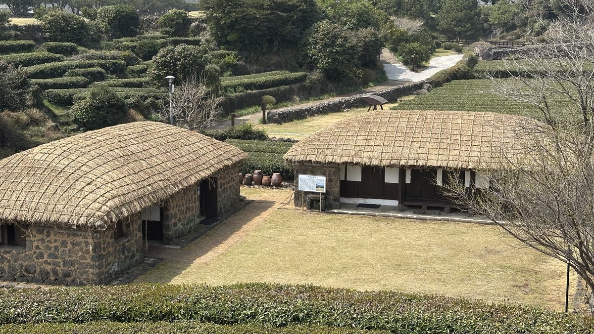 제주농업생태원, 전통초가 ‘지붕잇기’로 봄맞이 준비