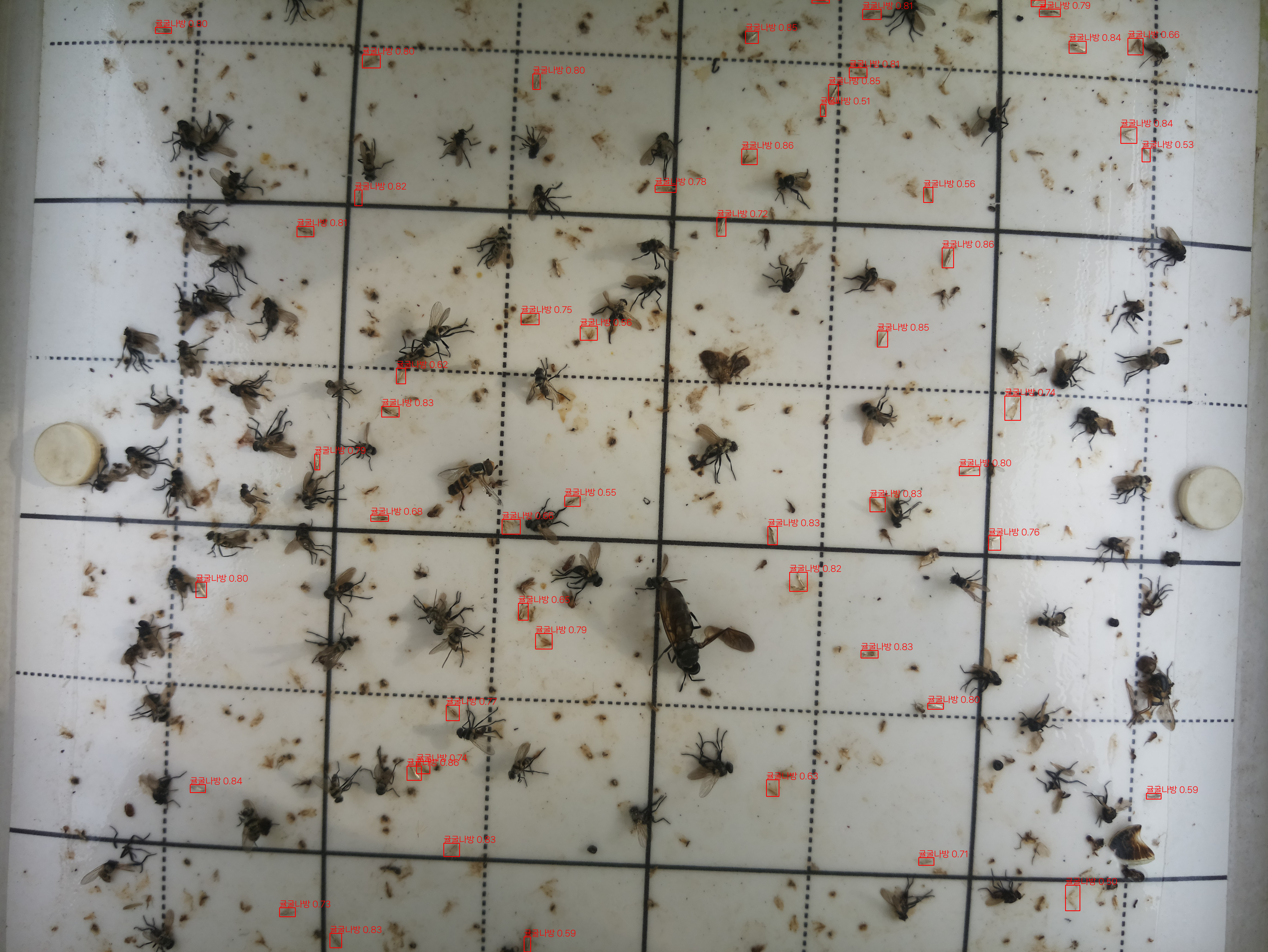 AI 기반 디지털트랩으로 해충 예찰 실시간 체계 전환