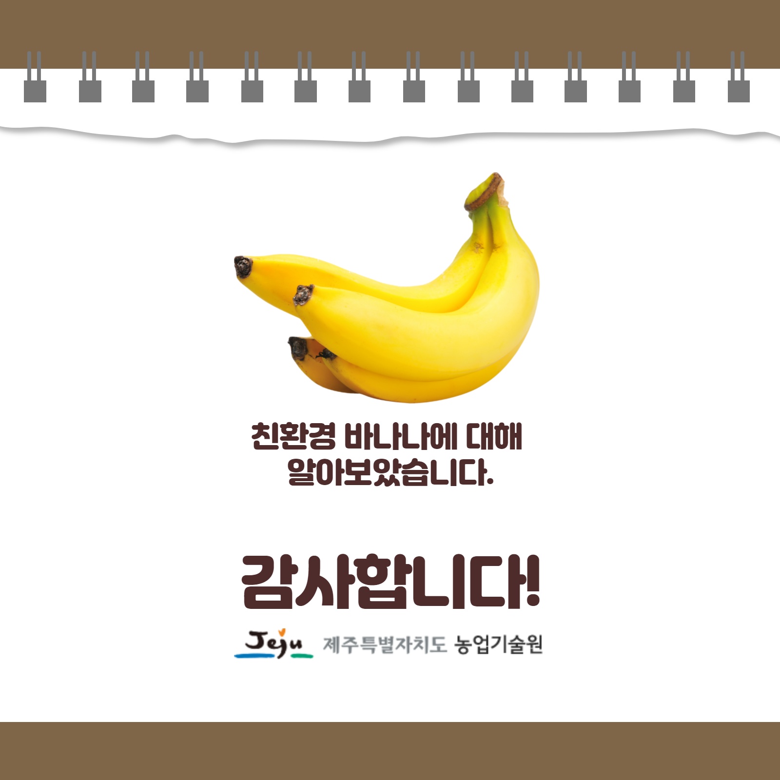 바나나5..jpg