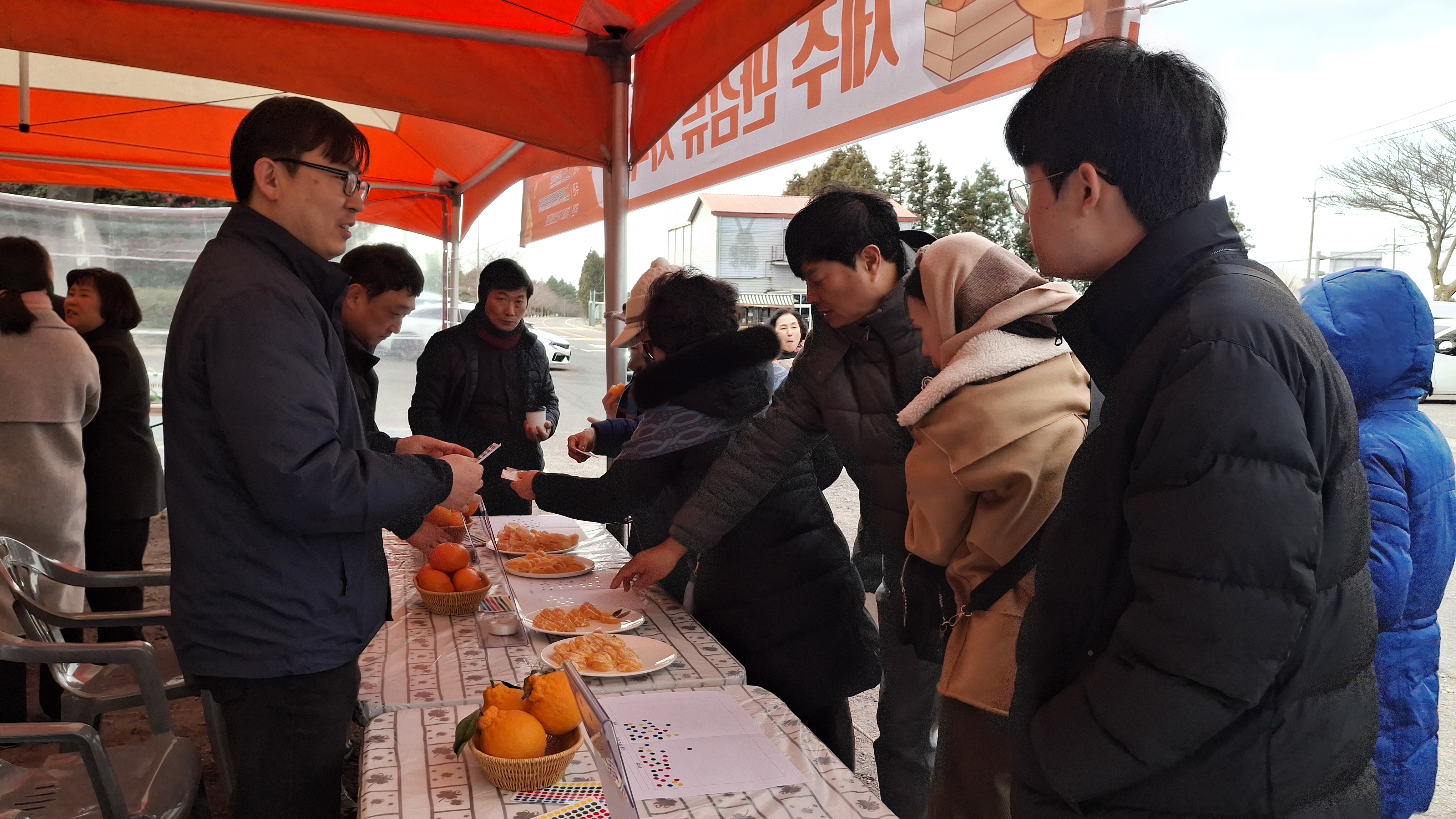제주 만감류, 수입 만다린과 소비자 비교 평가서 선호도 우위