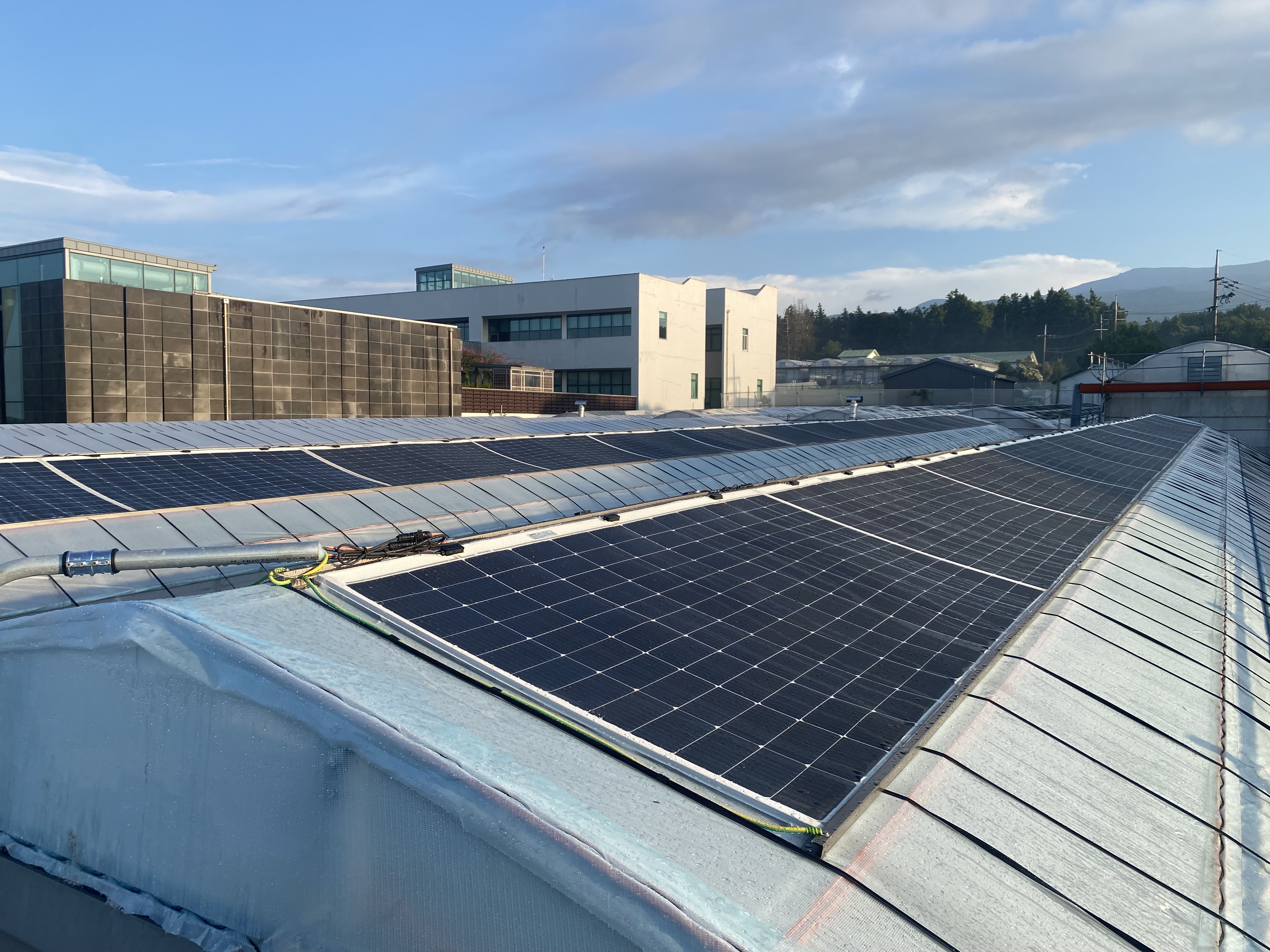 제주농업, 기후변화 대응·디지털 전환 실용기술 개발 성과