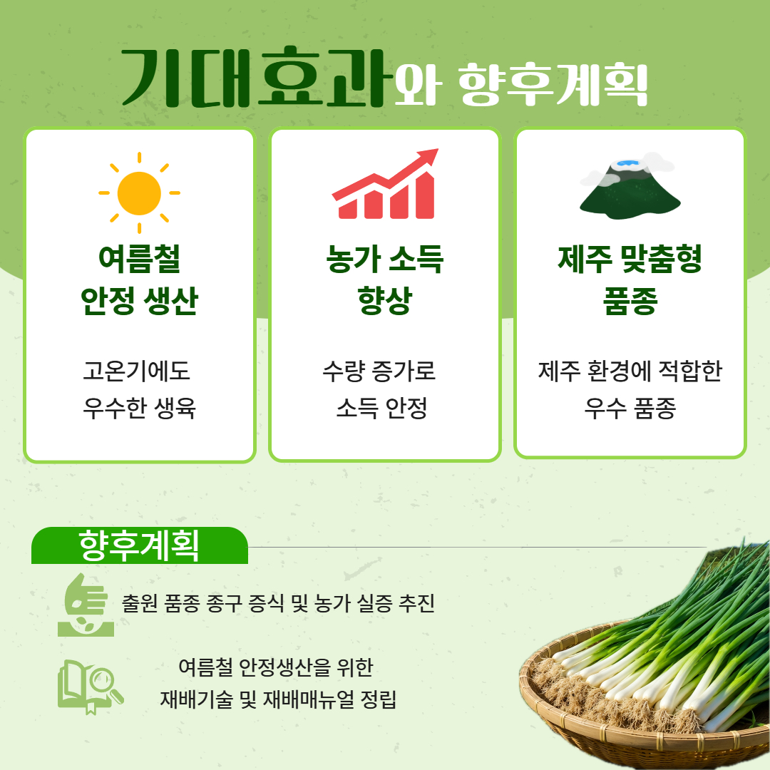여름에도 강한 쪽파, '제주S-12호'를 소개합니다