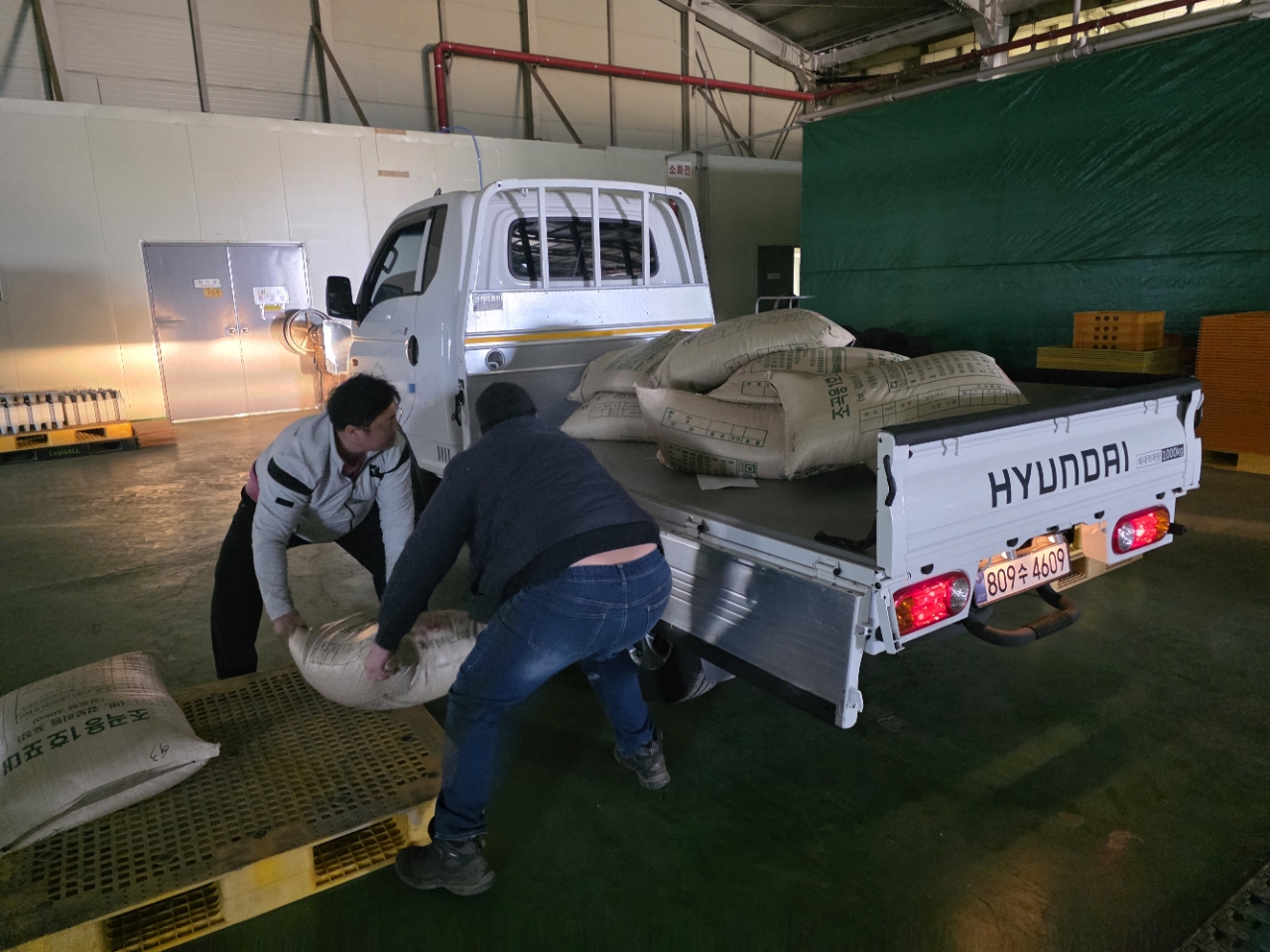 ‘양절’ 메밀 보급 본격화…원종 종자 3톤 공급 완료