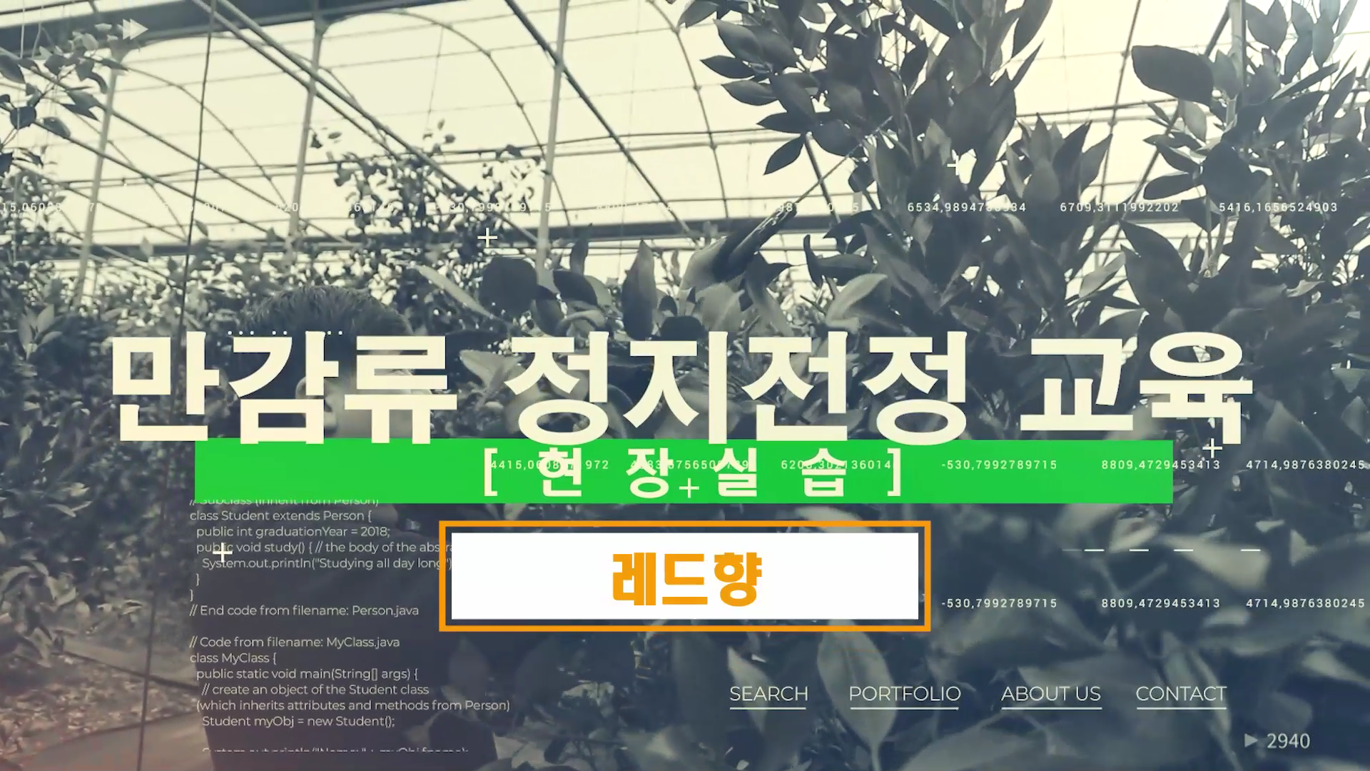 2022년 만감류 정지전정 교육(현장실습-레드향)