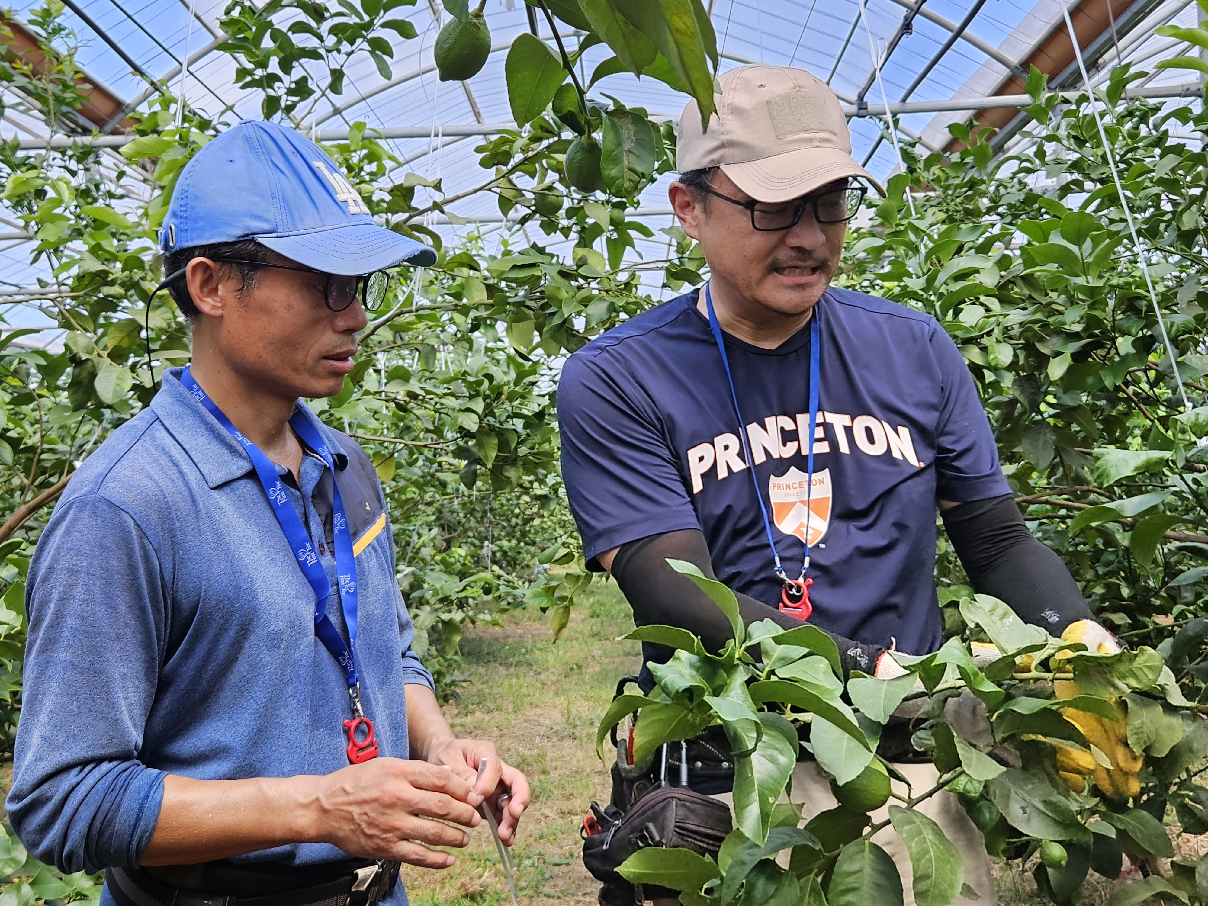 신규농업인 영농 첫 걸음, 현장실습으로 시작
