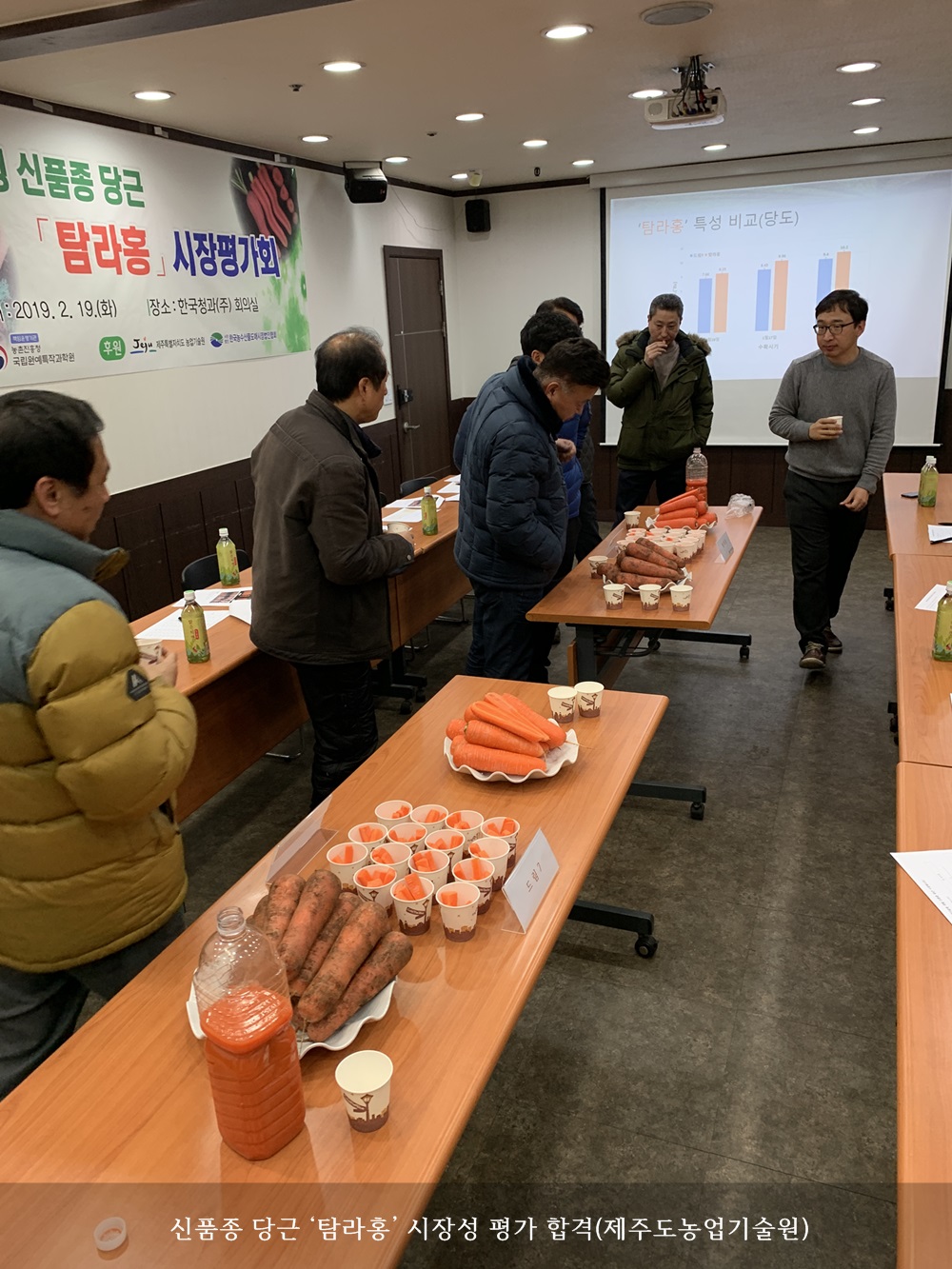 신품종 당근 ‘탐라홍’ 시장성 평가 합격