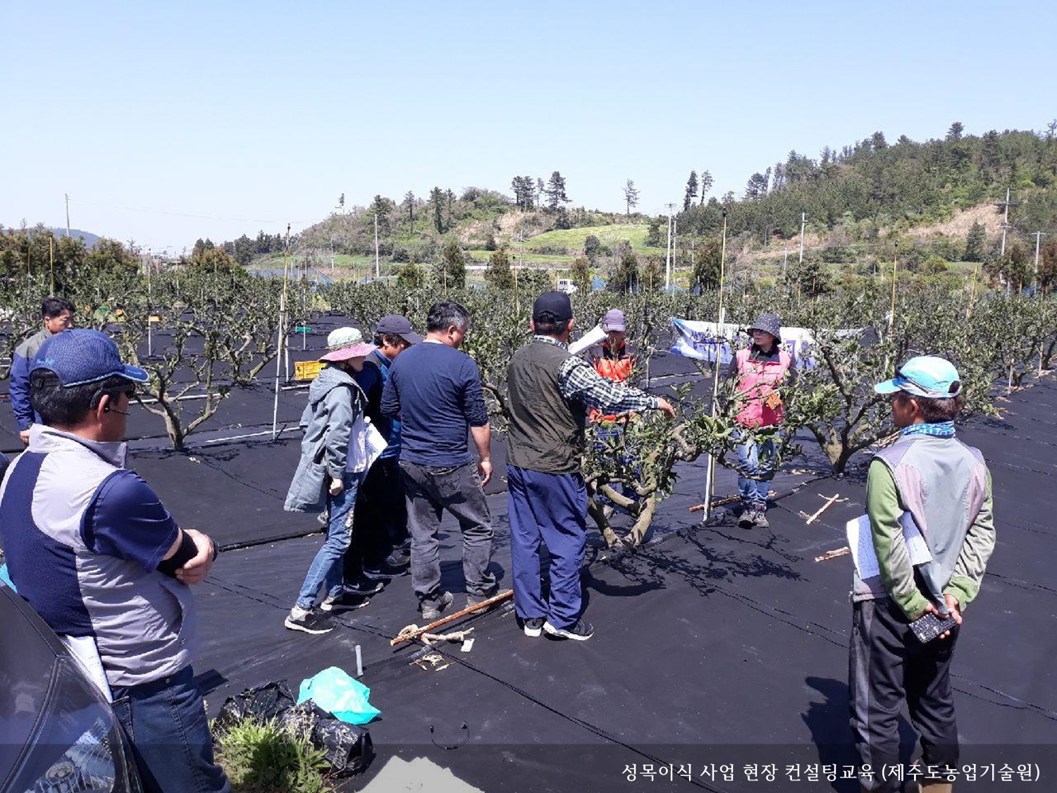 [보도자료] 성목이식 사업 현장 컨설팅교육 