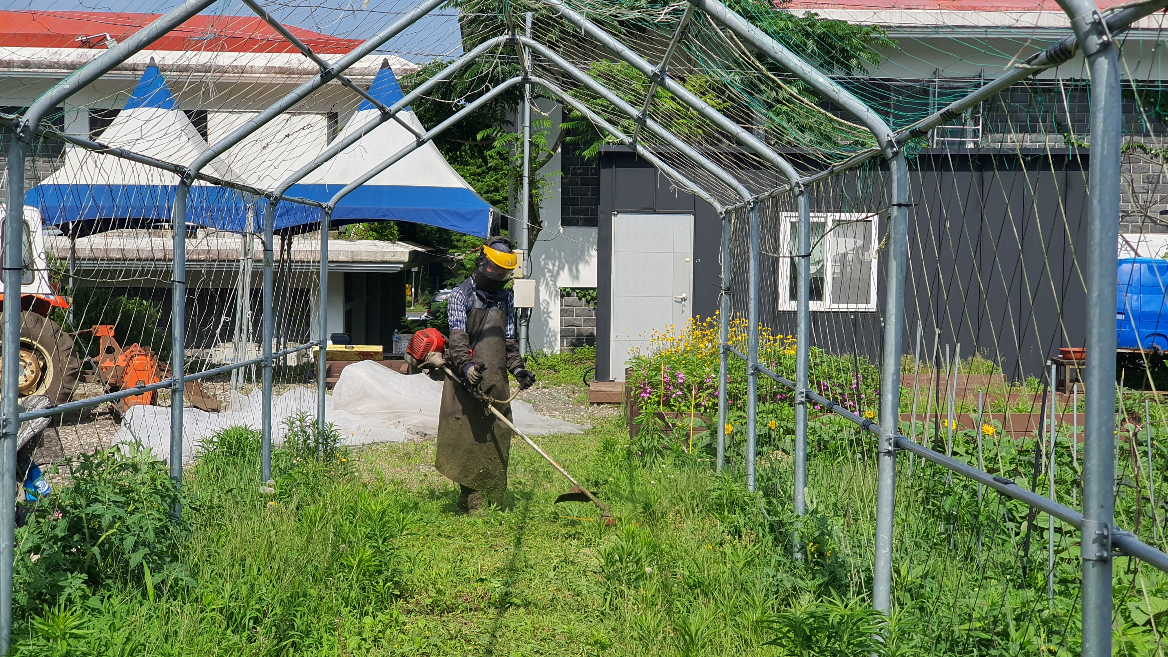 동부지역 '신규농업인 현장실습교육' 대상자 모집