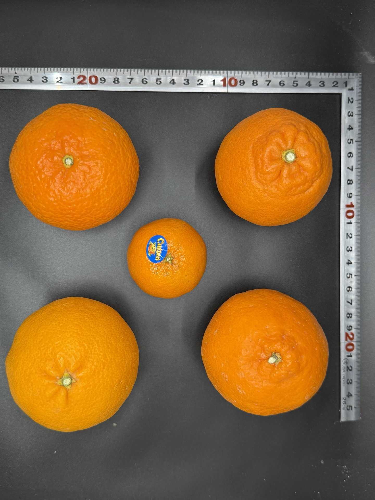 수도권 소비자, 미국산 만다린보다 제주산 만감류 선호