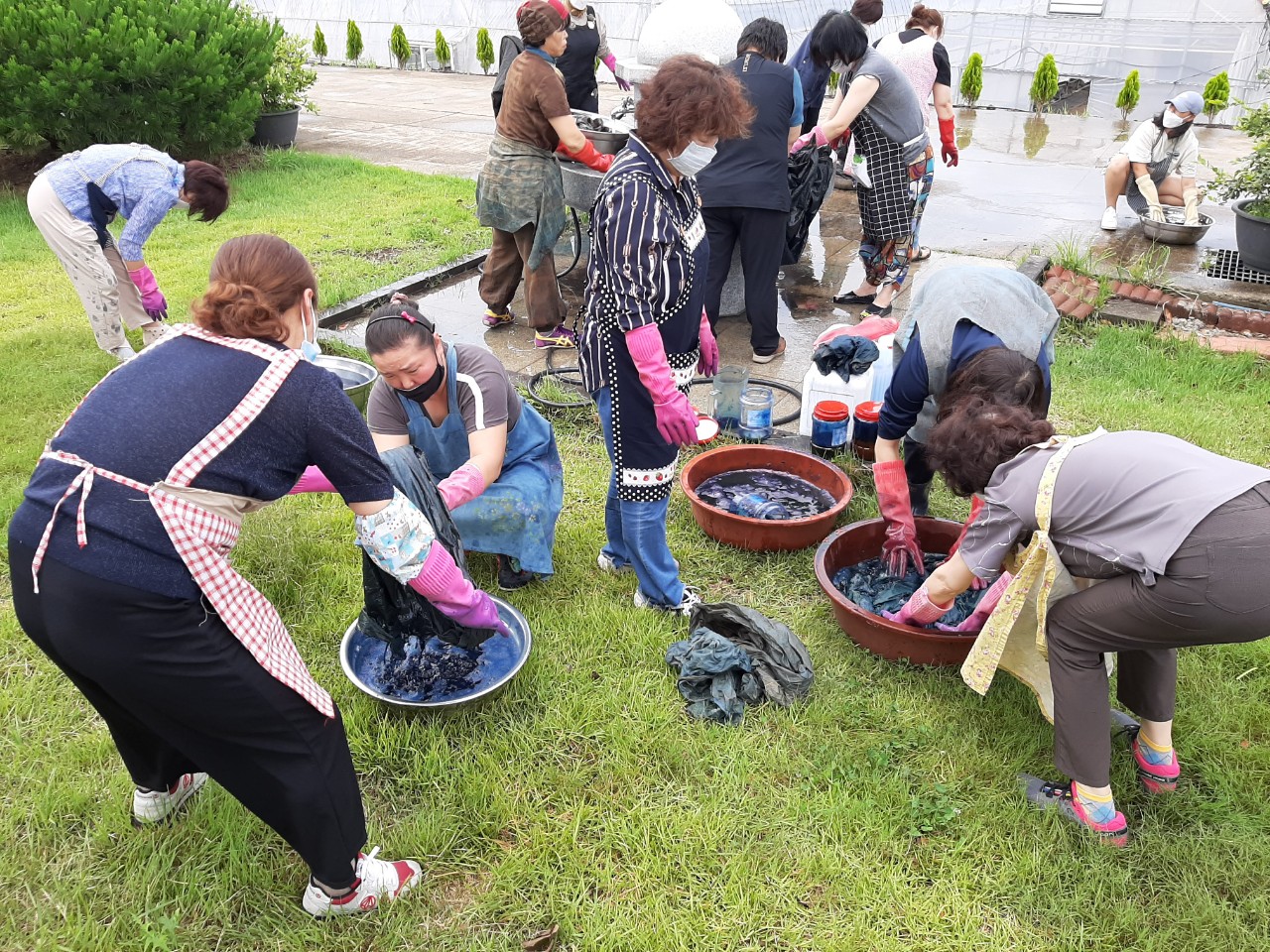제주 자생식물을 이용한 에코프린팅 활용교육