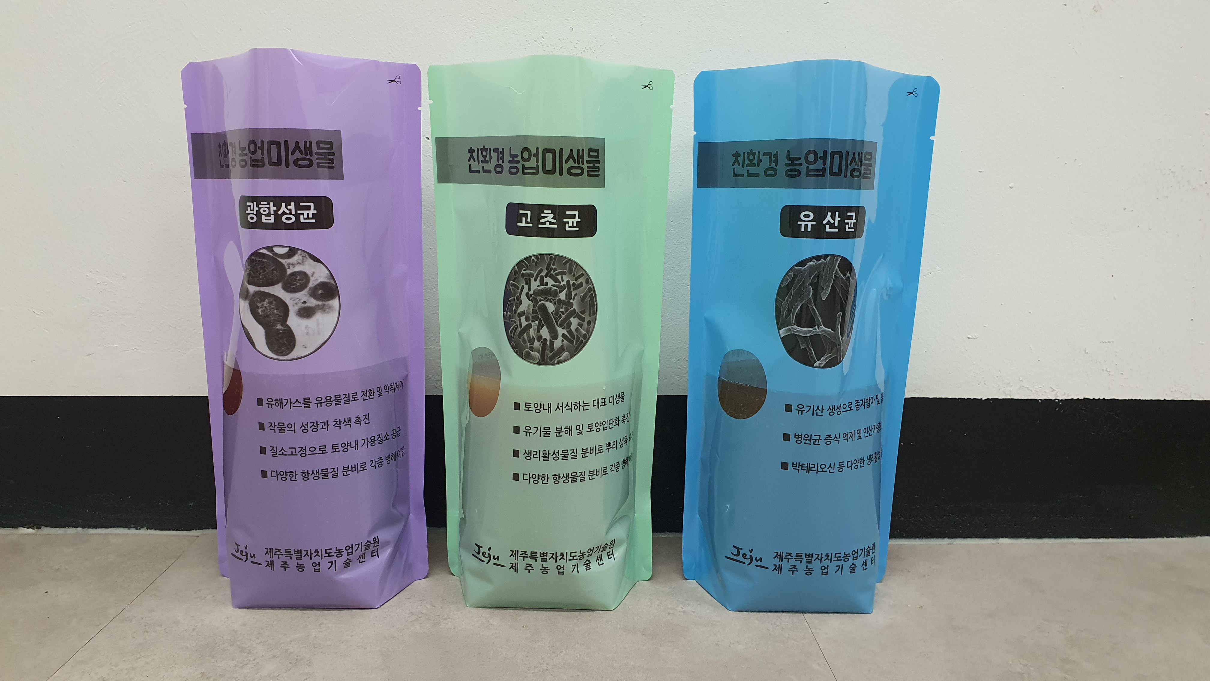 제주농업 디지털 전환·기후변화 대응 농촌진흥사업 추진