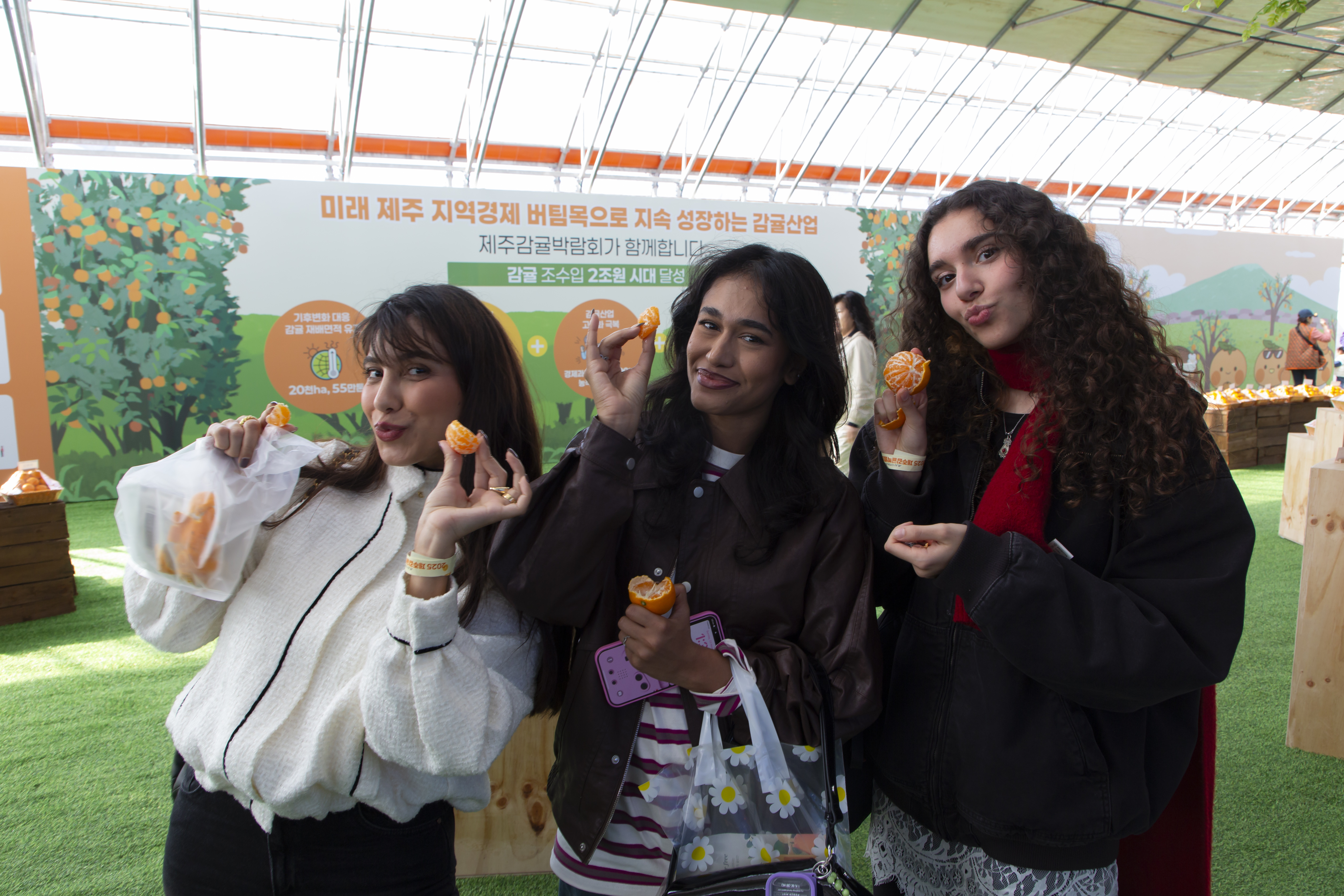 2025 제주감귤박람회, 6.3만 명 참여 속 성황리 폐막