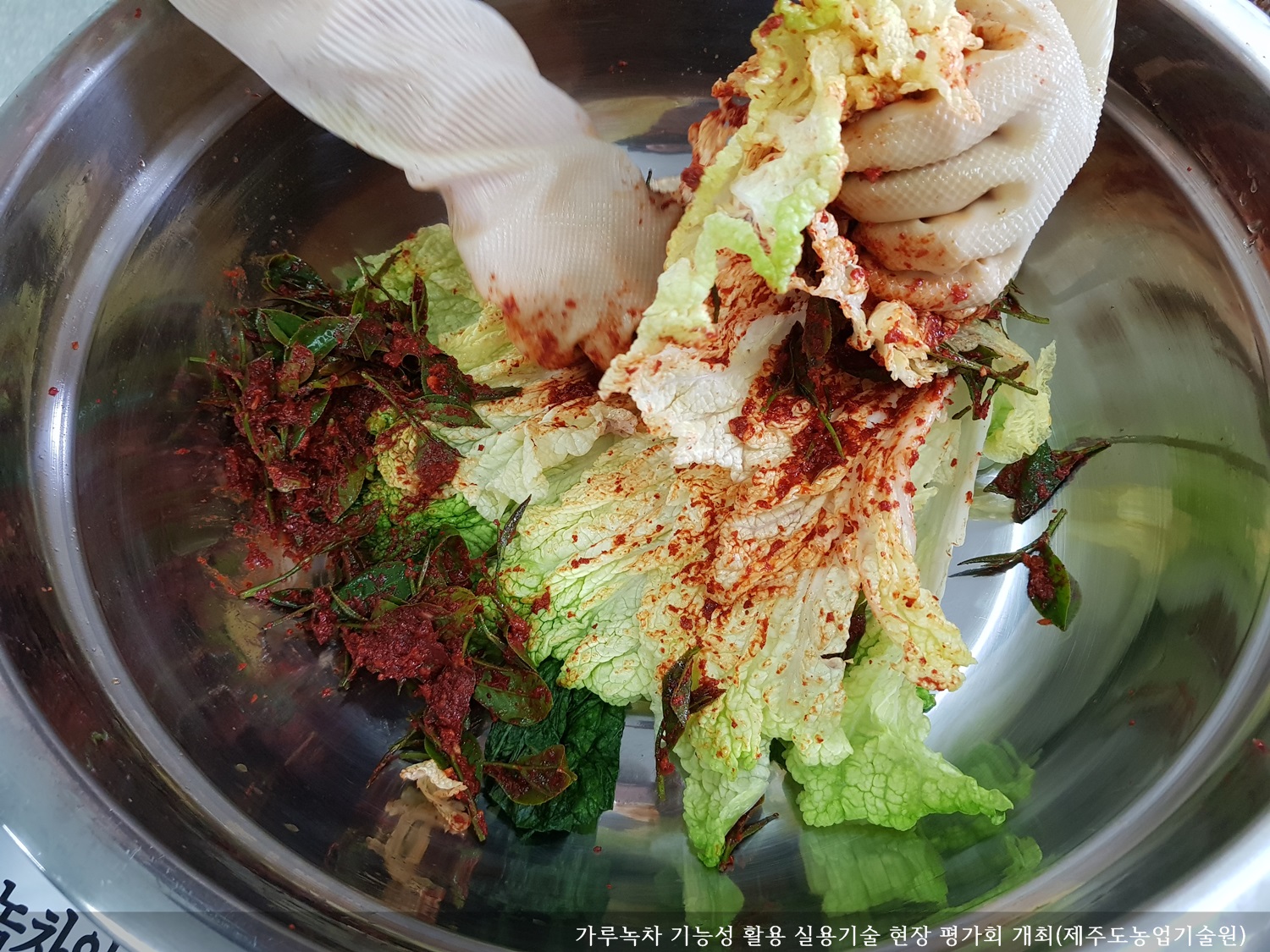 [보도자료] 가루녹차 기능성 활용 실용기술 현장 평가회 개최