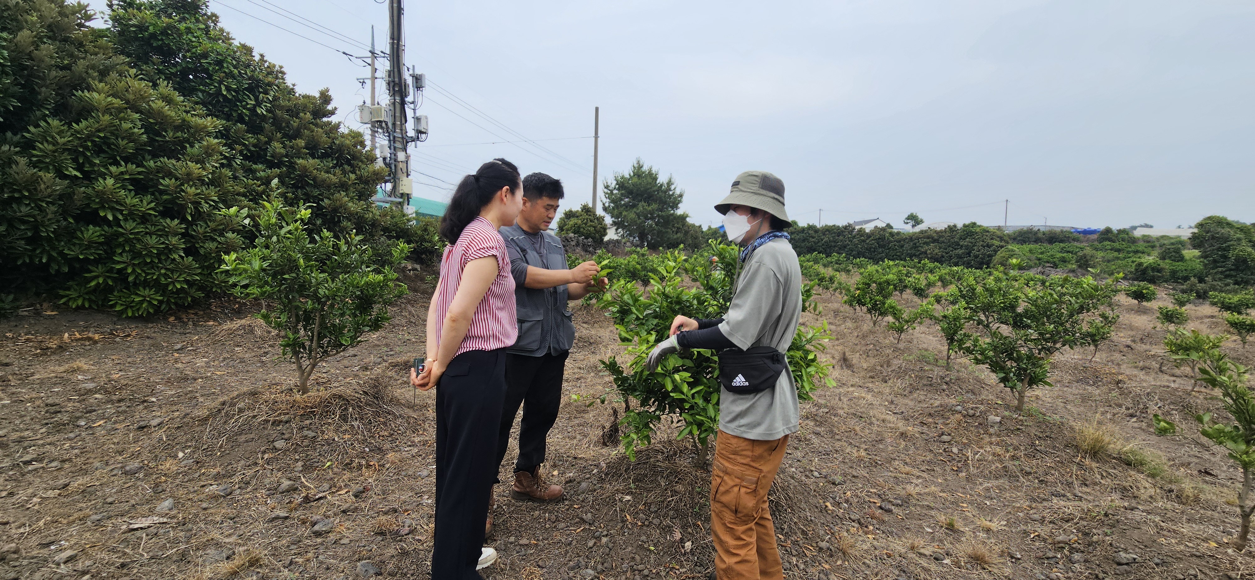 신규농업인 영농 첫 걸음, 현장실습으로 시작