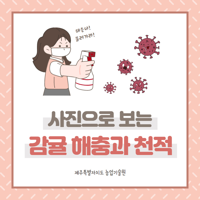 감귤 해충과 천적