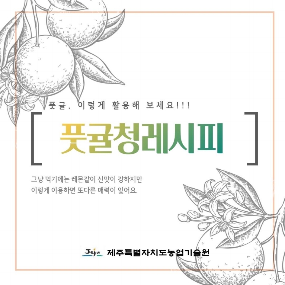 풋귤, 이렇게 활용해 보세요 