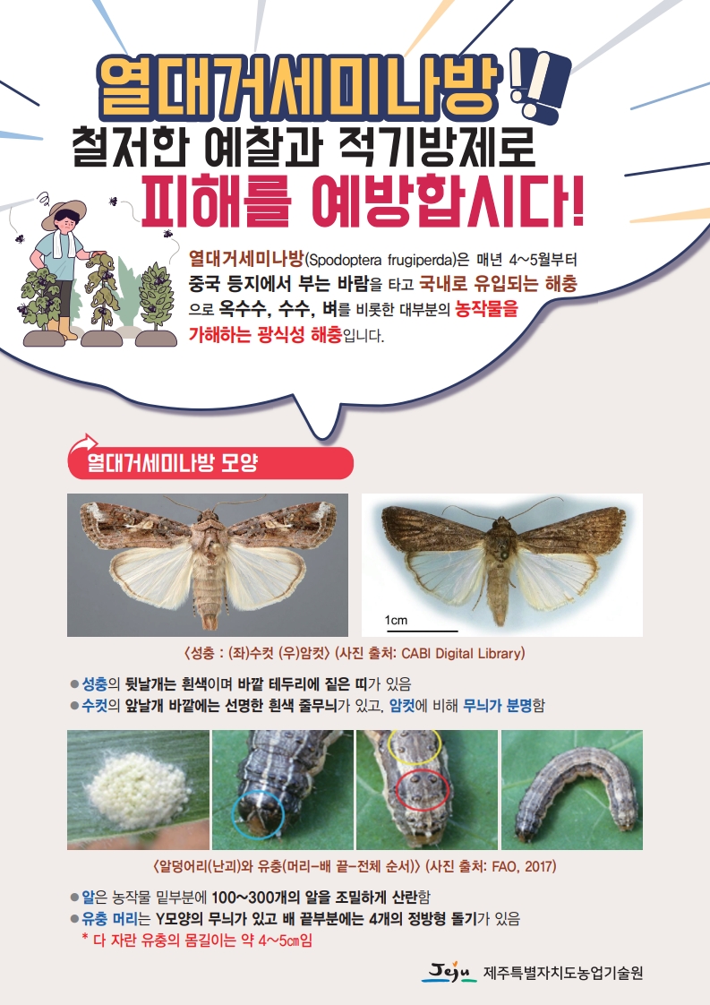 열대거세미나방 올해 첫 발견…최근 5년 중 가장 빨라