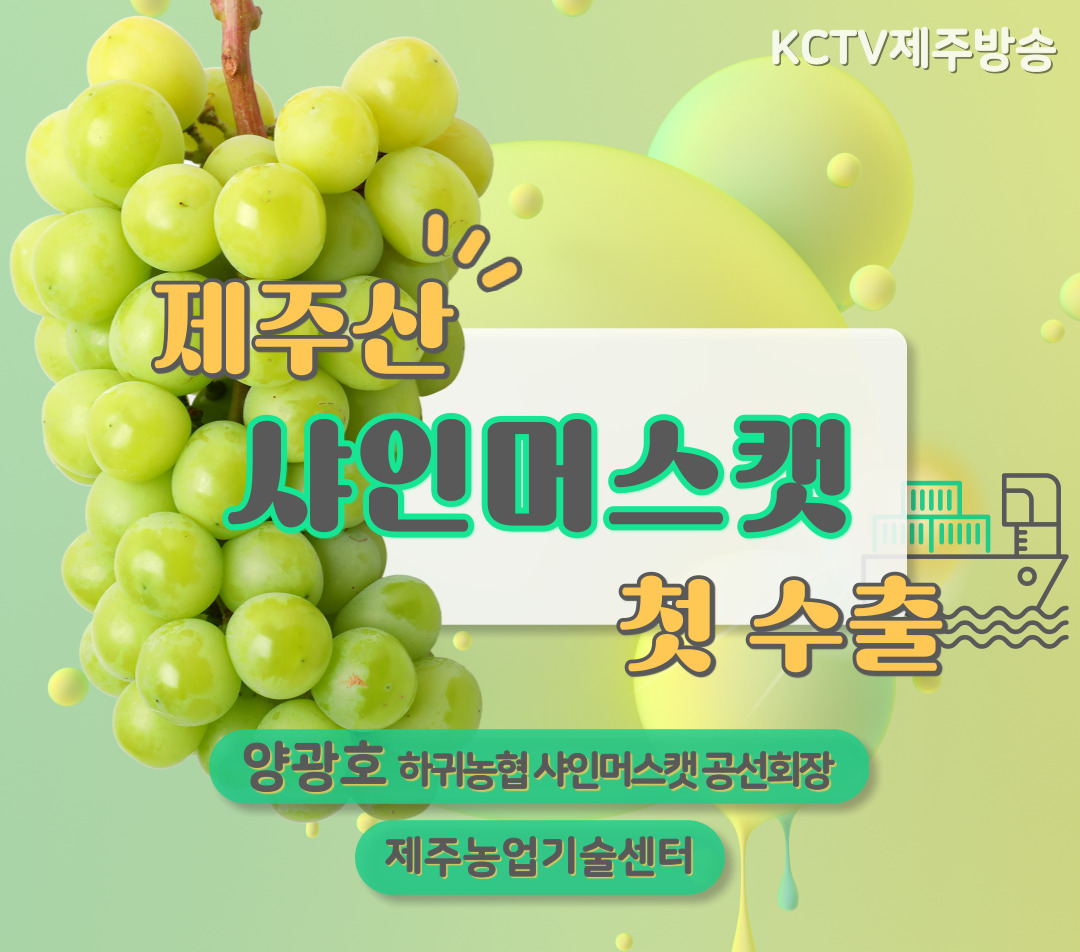 제주산 샤인머스캣 첫 수출