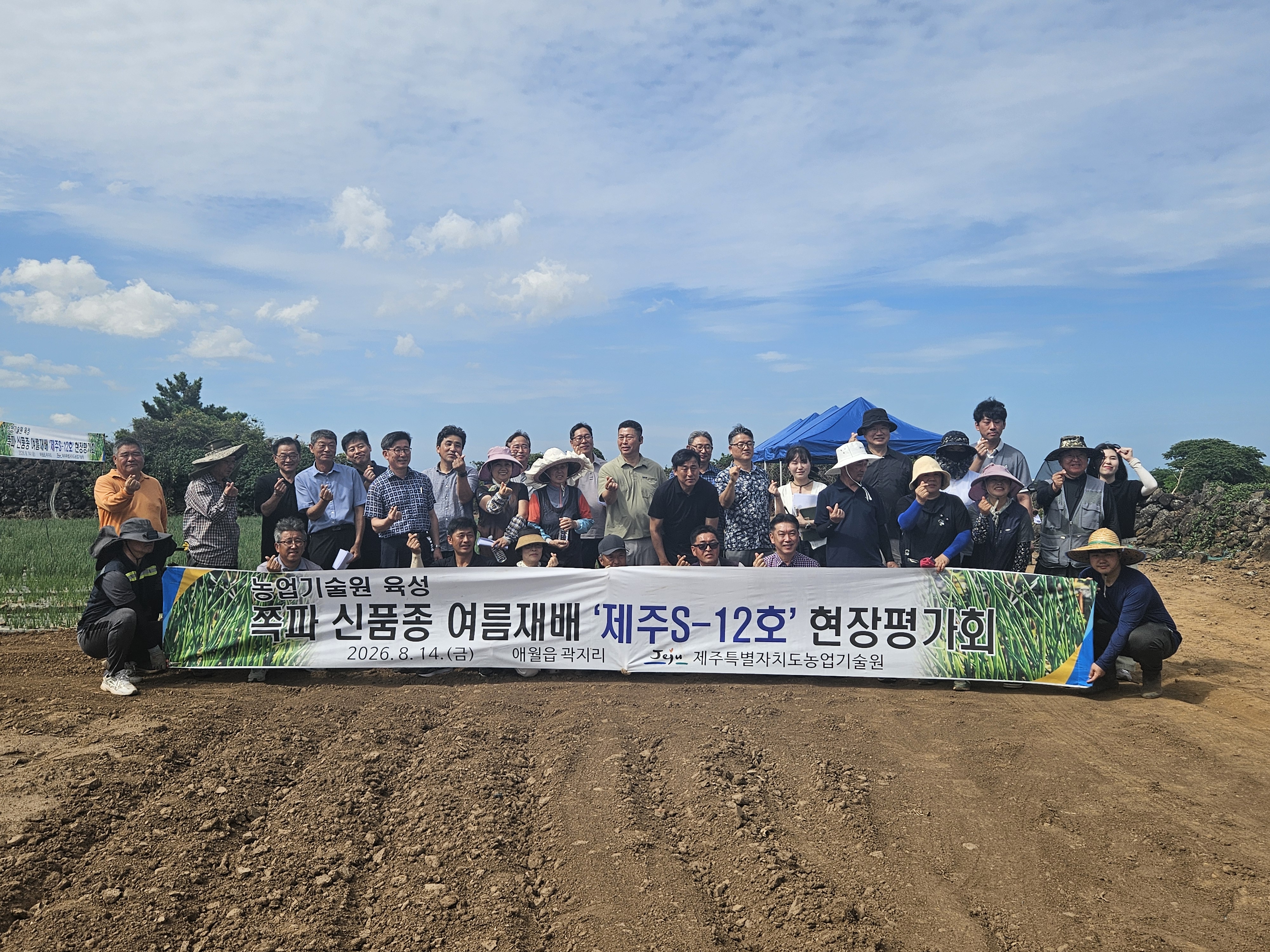 260820_수시_농업기술원_여름쪽파 신품종 ‘제주S-12호’ 현장평가 (1).JPG