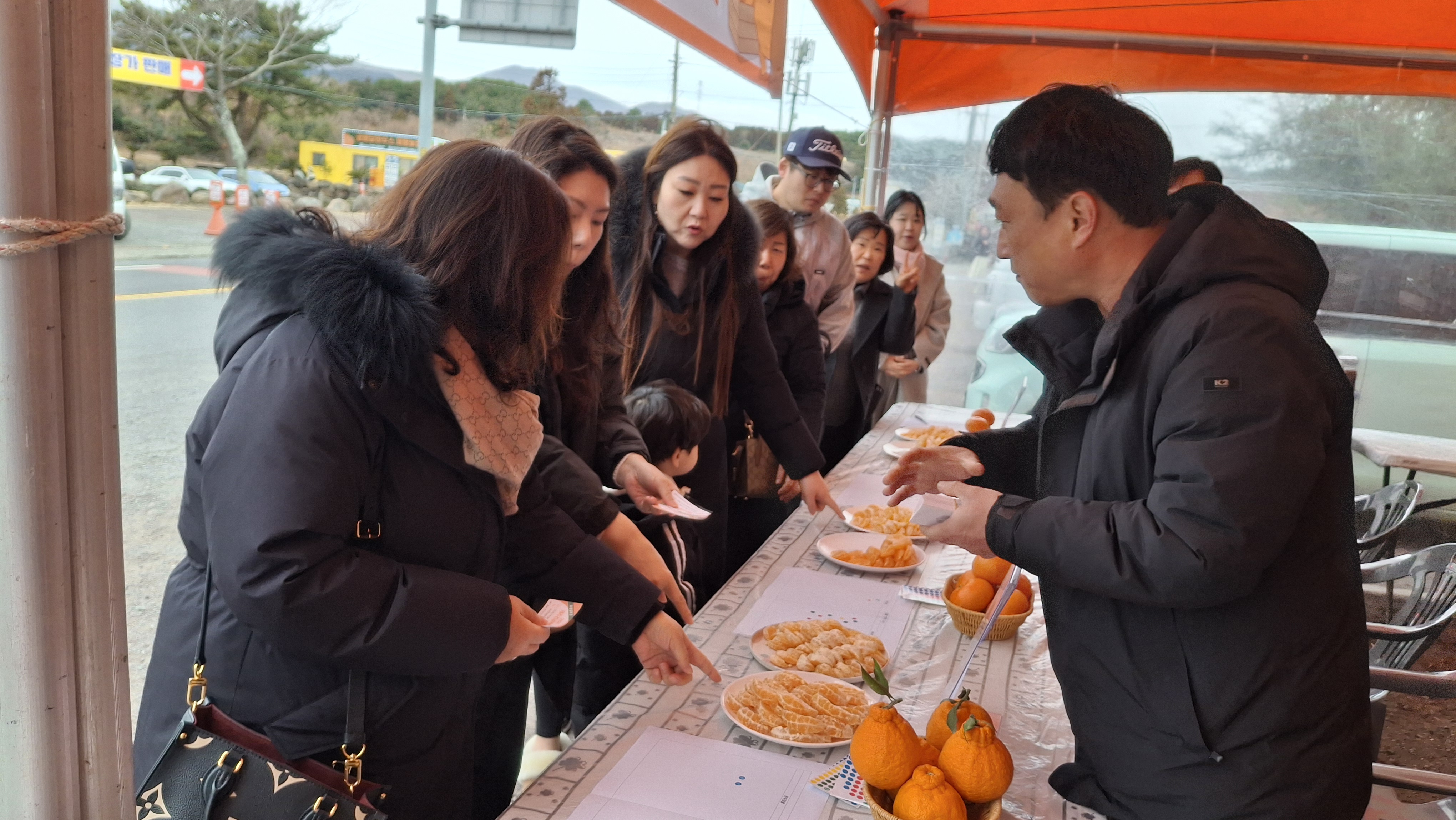 제주 만감류, 수입 만다린과 소비자 비교 평가서 선호도 우위