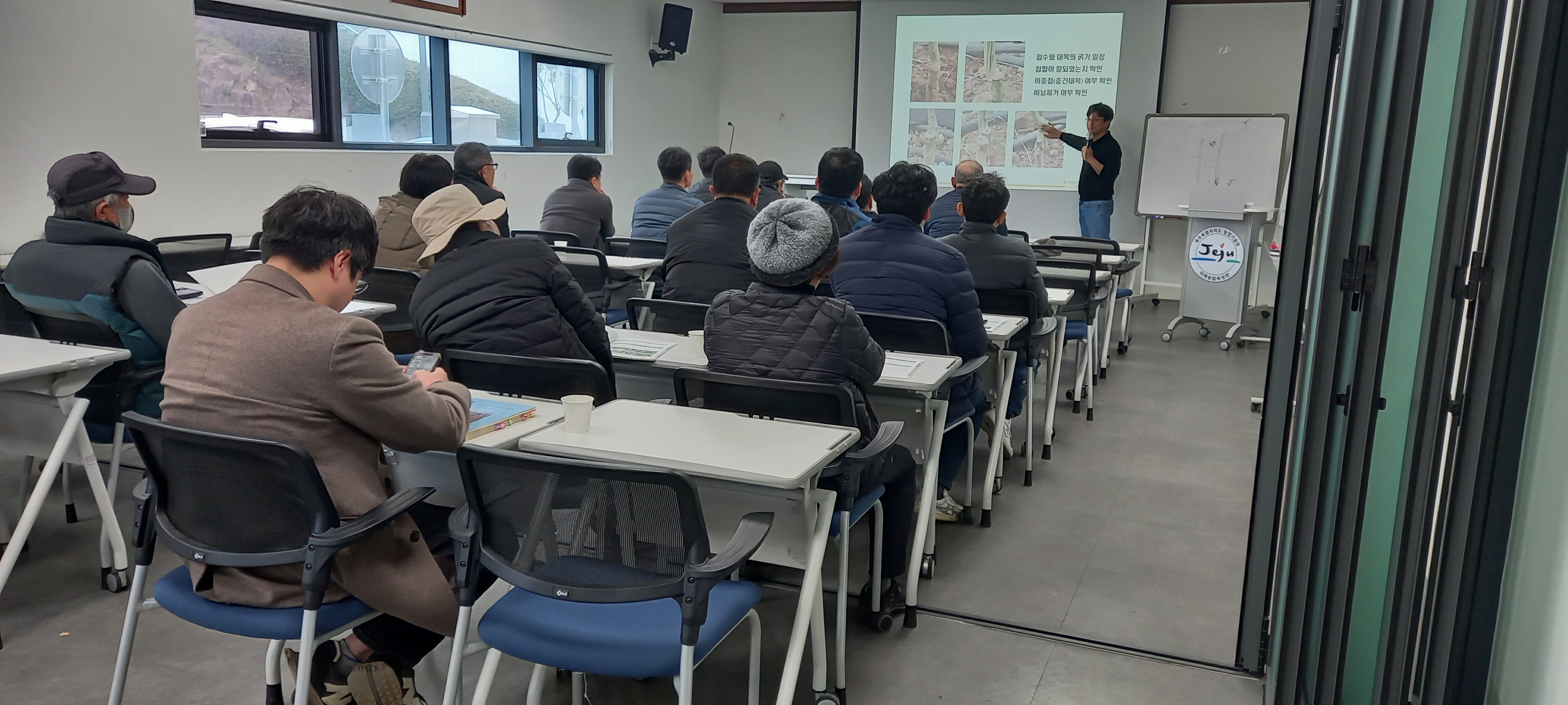 신품종 만감류 안정정착 재배기술 지원 및 유통기반 마련