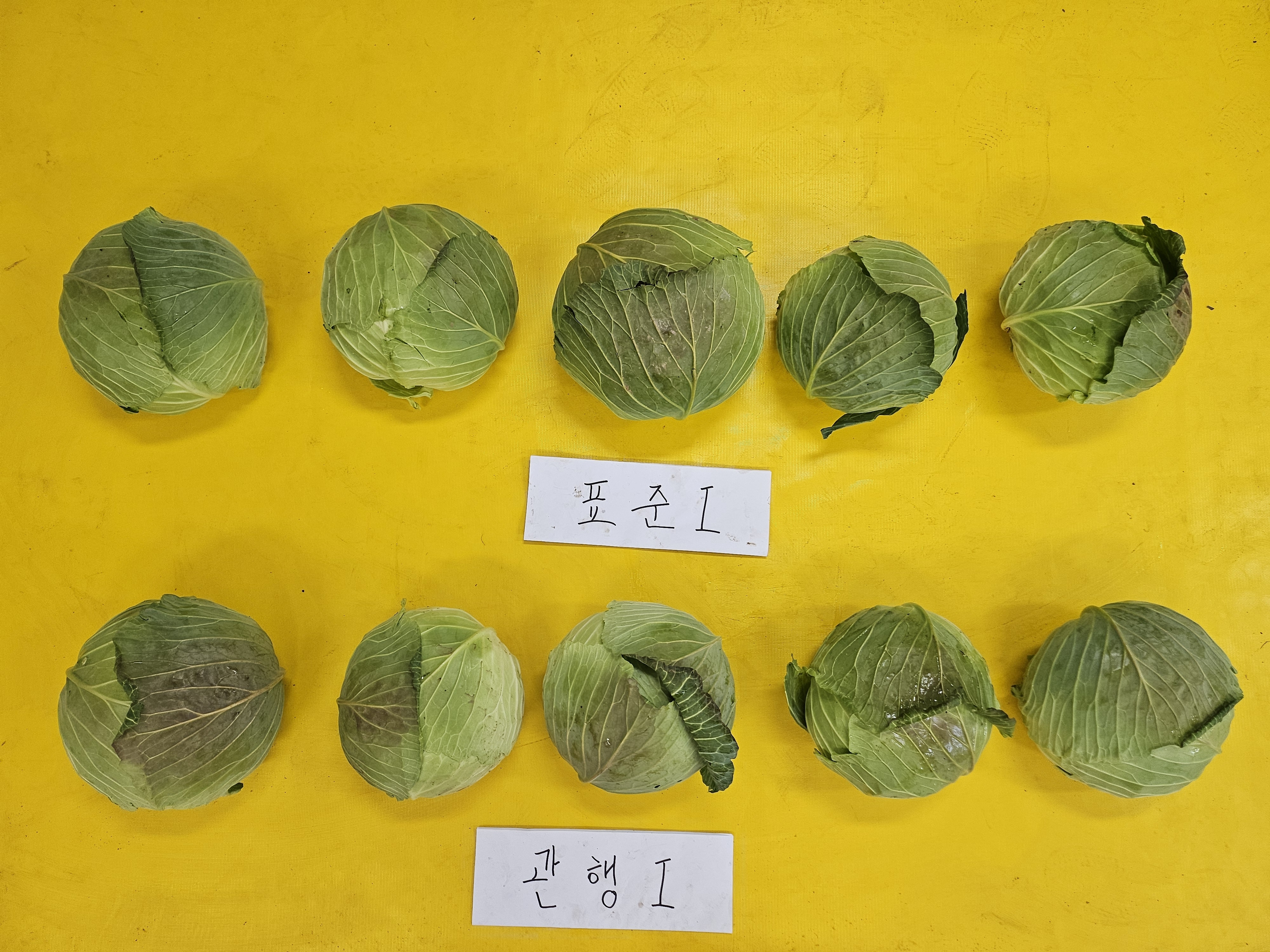 '위기를 기회로' 과학 기반 표준시비 실천 캠페인 전개