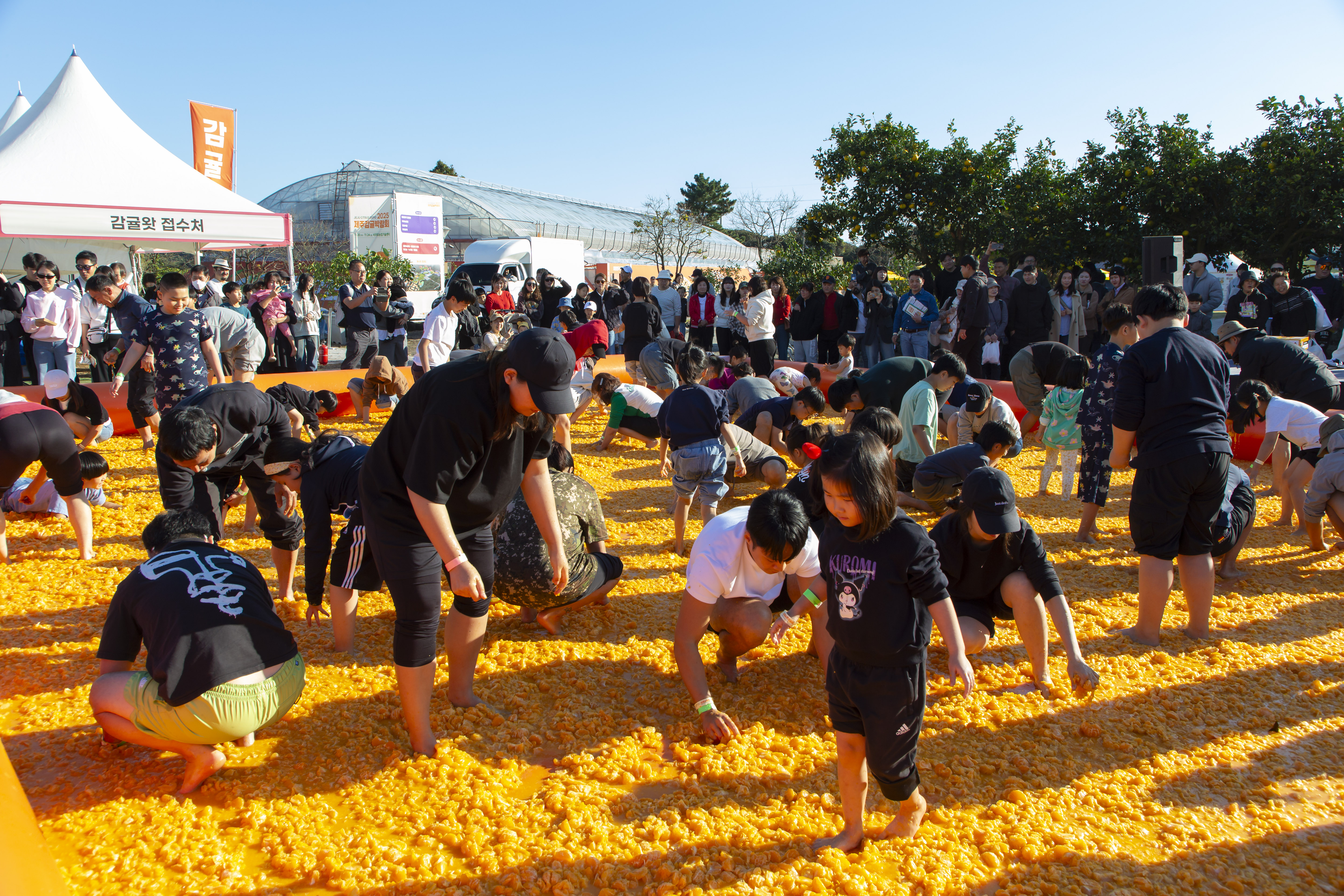 2025 제주감귤박람회, 6.3만 명 참여 속 성황리 폐막