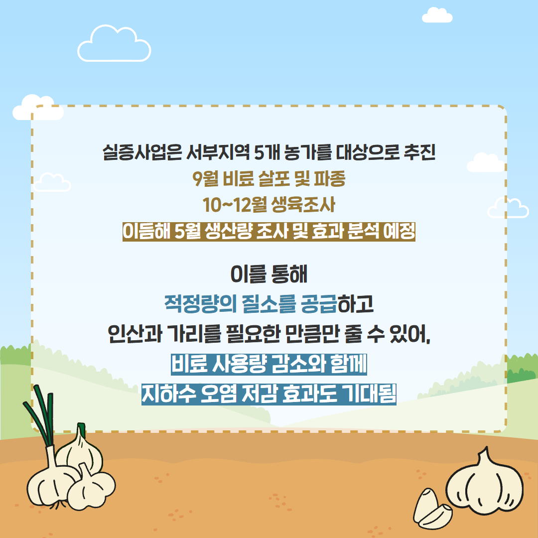 27. 마늘 전용비료 개발 (5).jpg