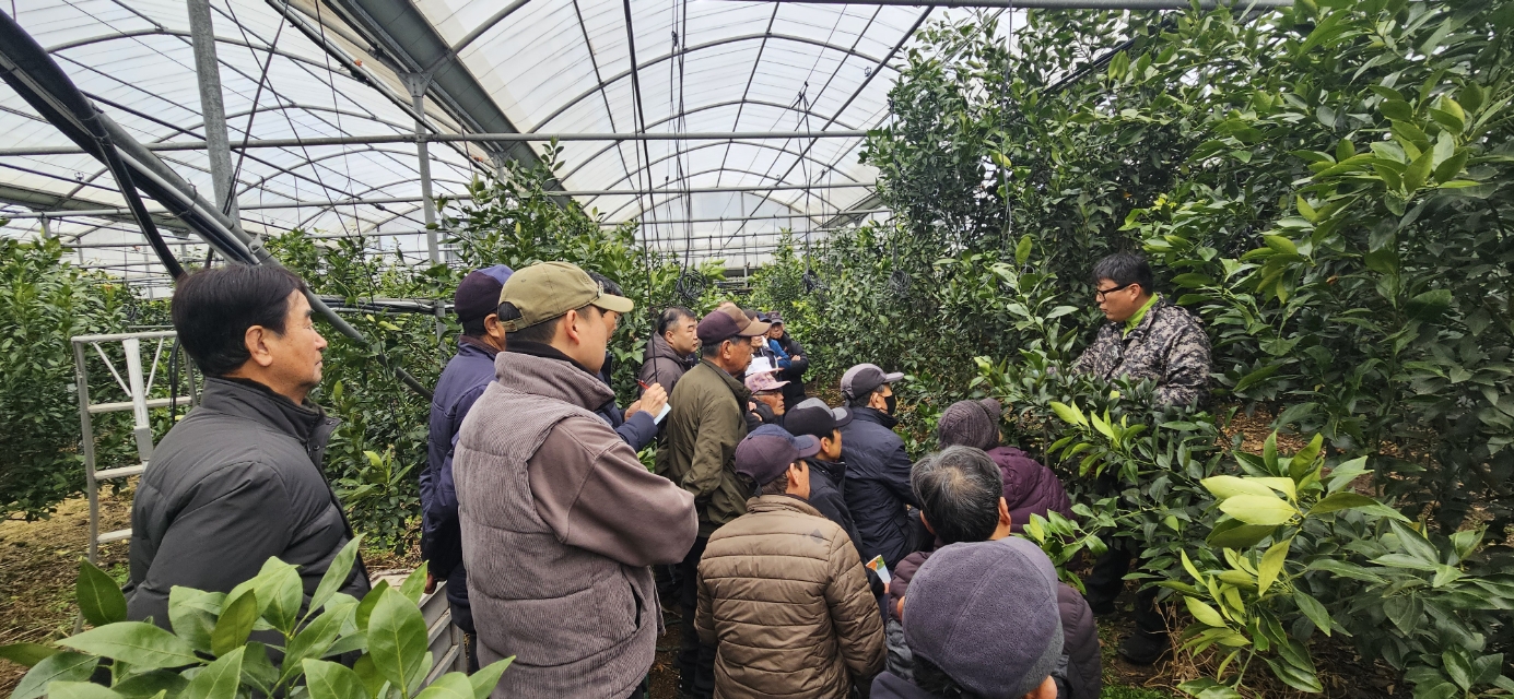 감귤류 시기별 맞춤 교육 확대…농업인 참여 열기 높아