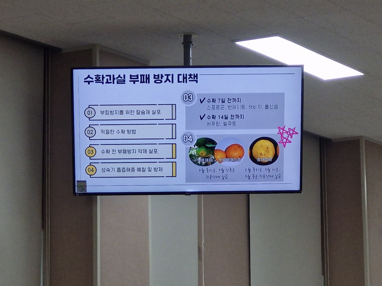 노지감귤 재배기술교육(B)반