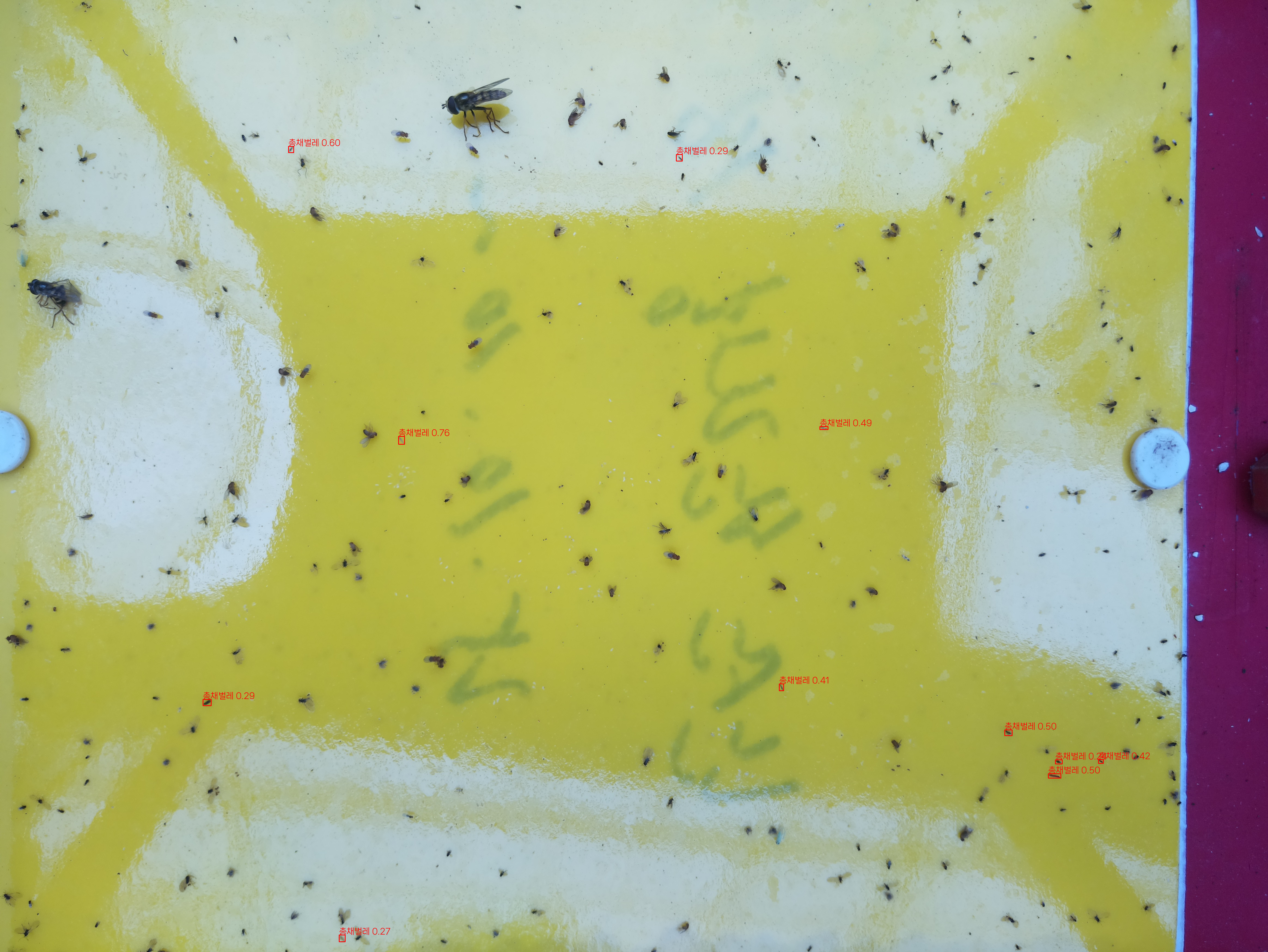 AI 기반 디지털트랩으로 해충 예찰 실시간 체계 전환