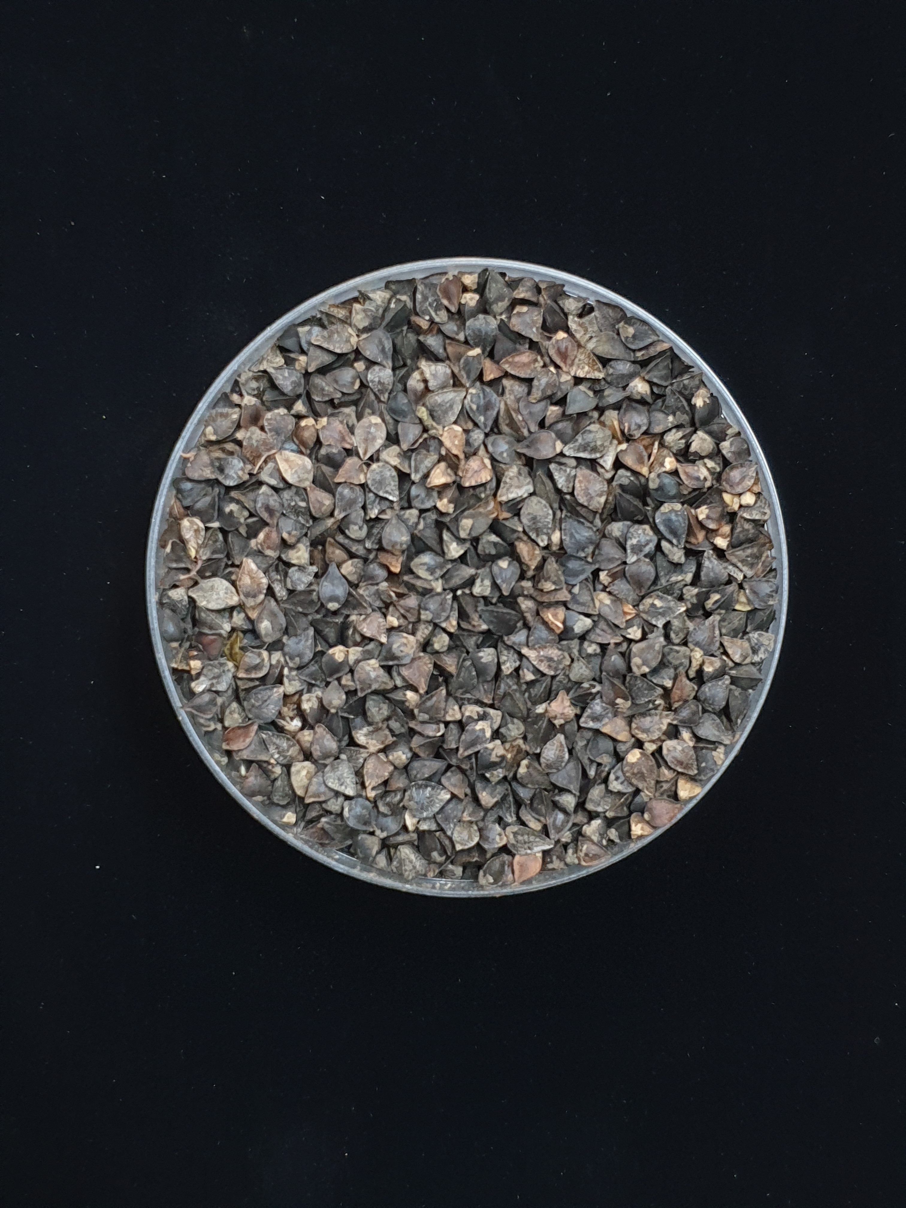 제주 메밀의 숨겨진 힘! 항비만·항산화·항염 효능 입증