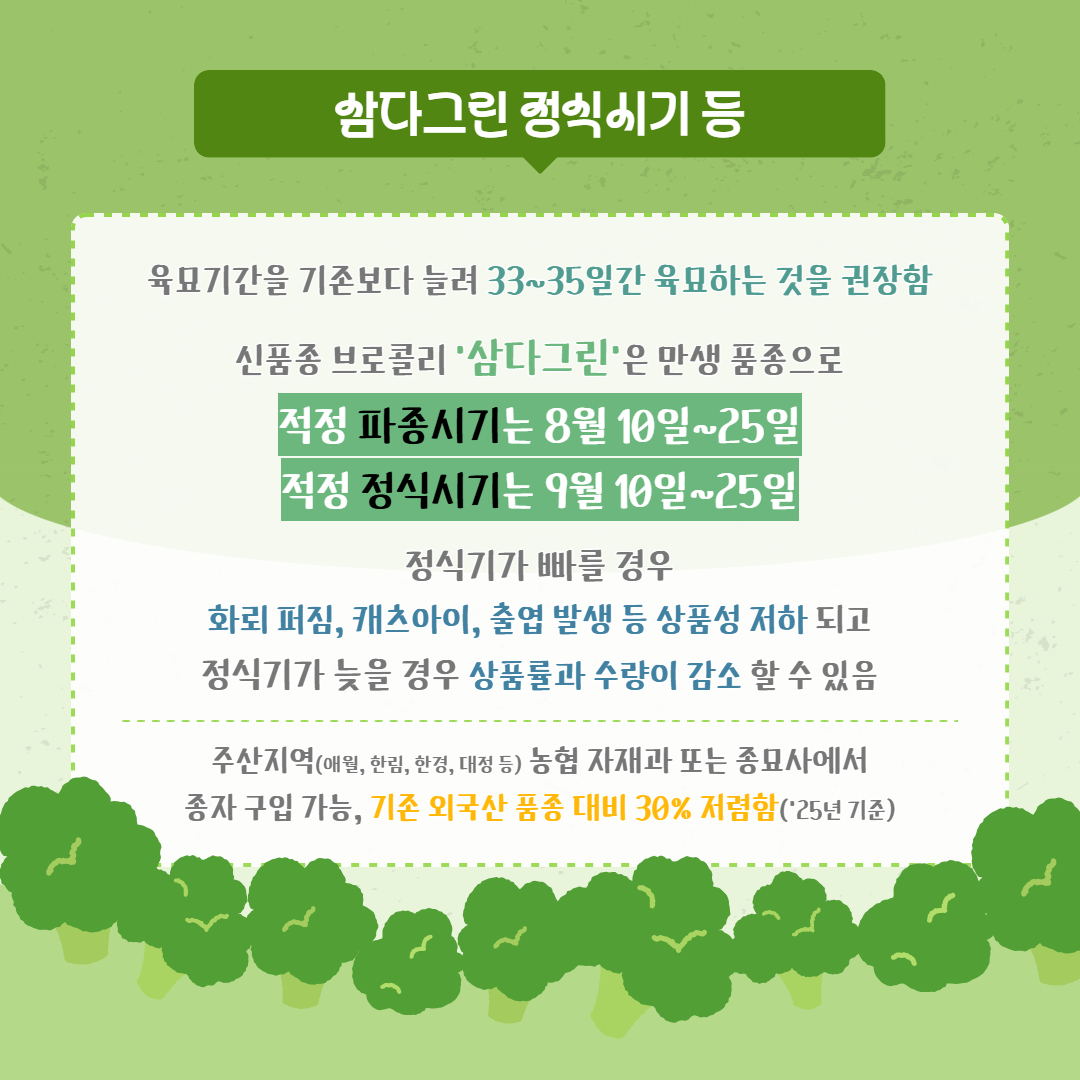 브로콜리 삼다그린 (5).jpg