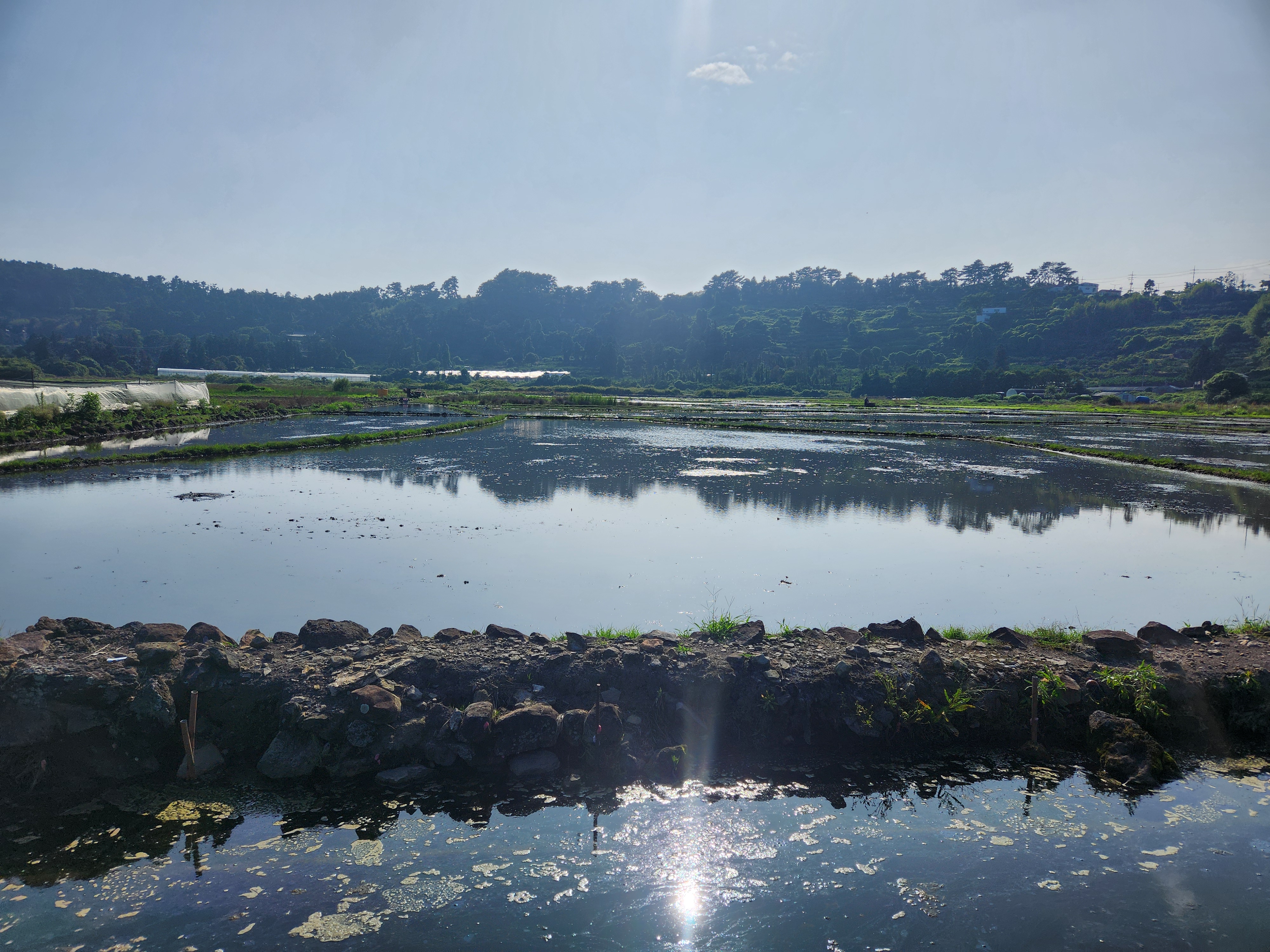 제주 농업 온실가스 배출 특성과 변동 경향 제시