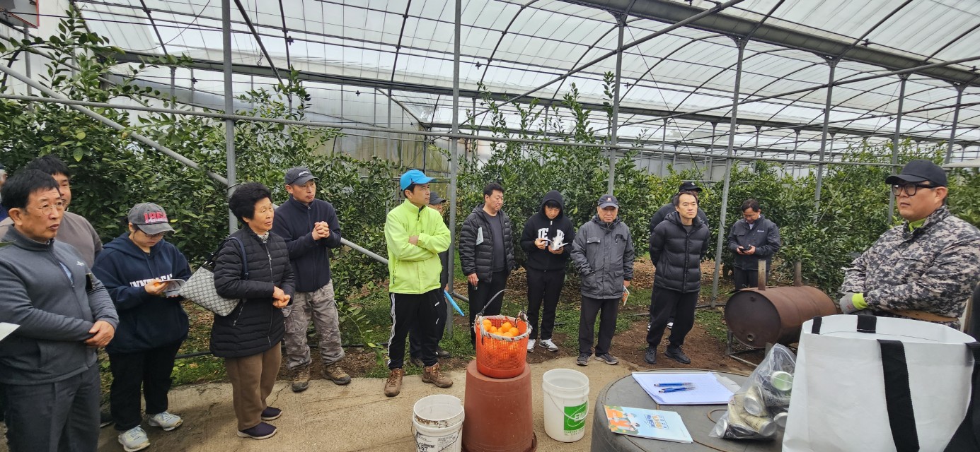 2026년 감귤류 정지.전정 기술교육 추진-9회차