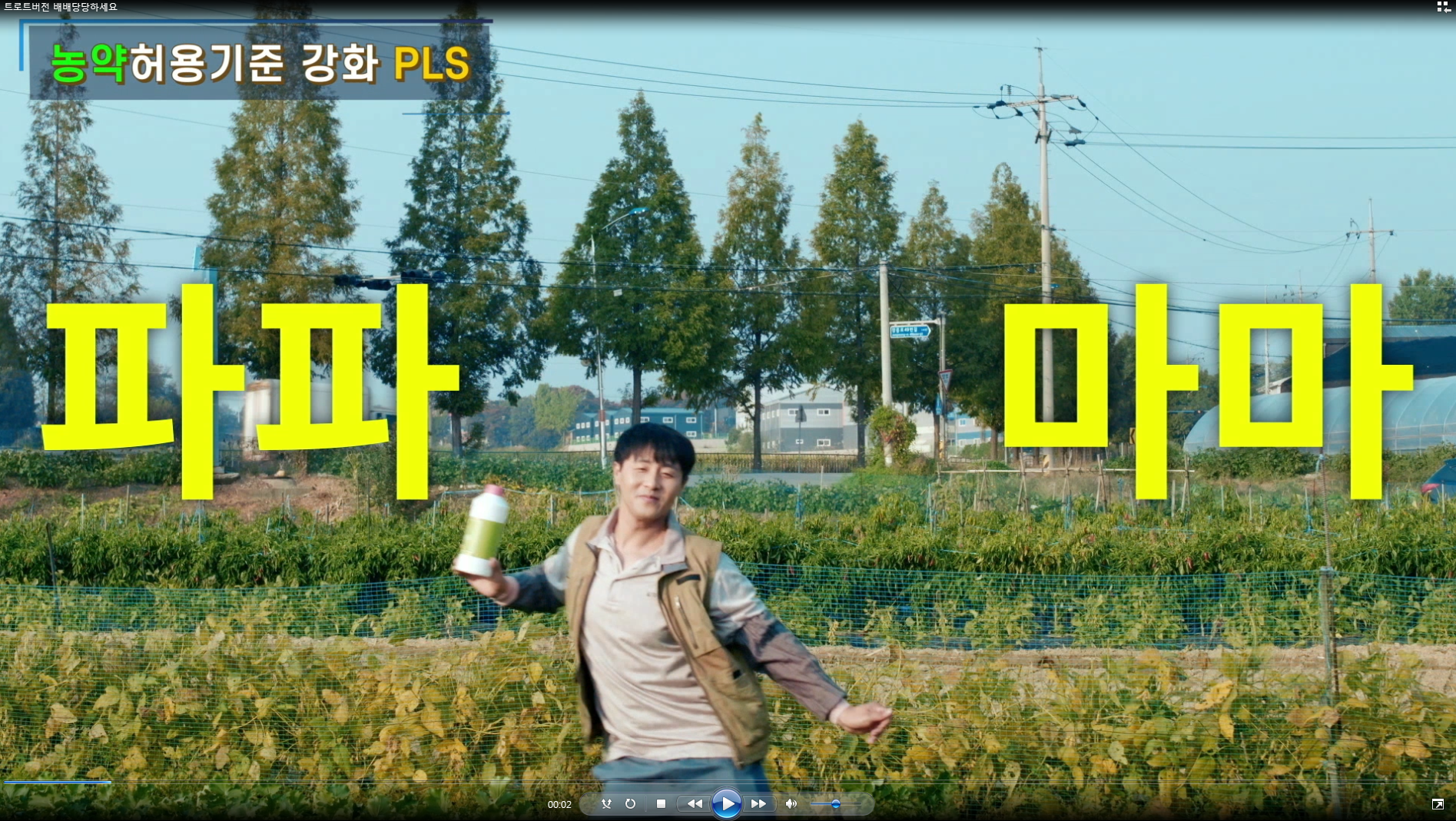 트로트버전 배배당당하세요