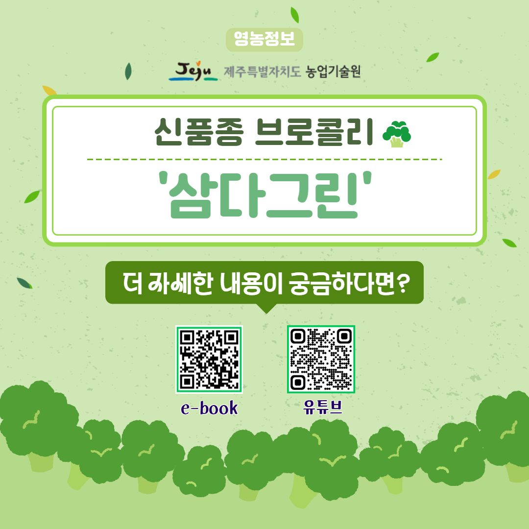 브로콜리 삼다그린 (6).jpg